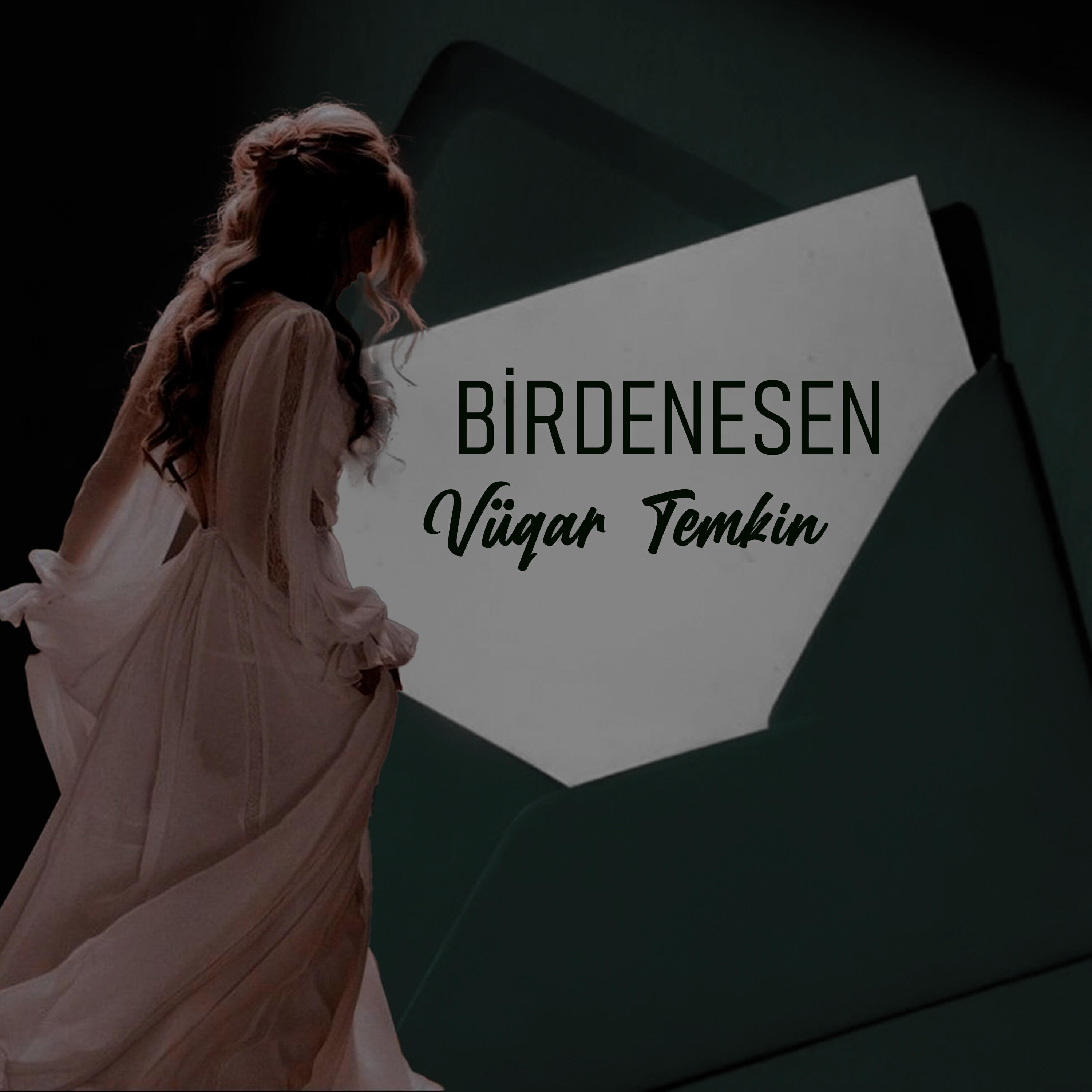 Релиз Birdenesen