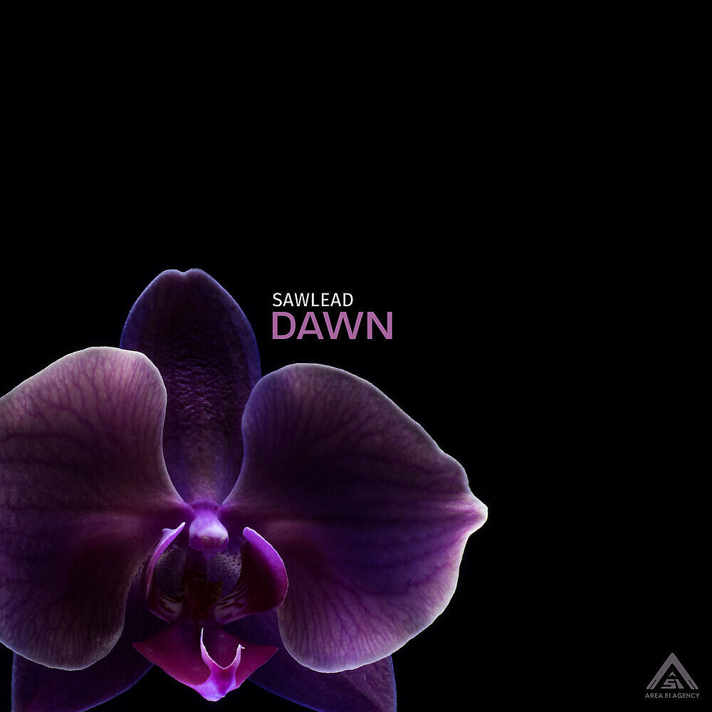 Релиз Dawn