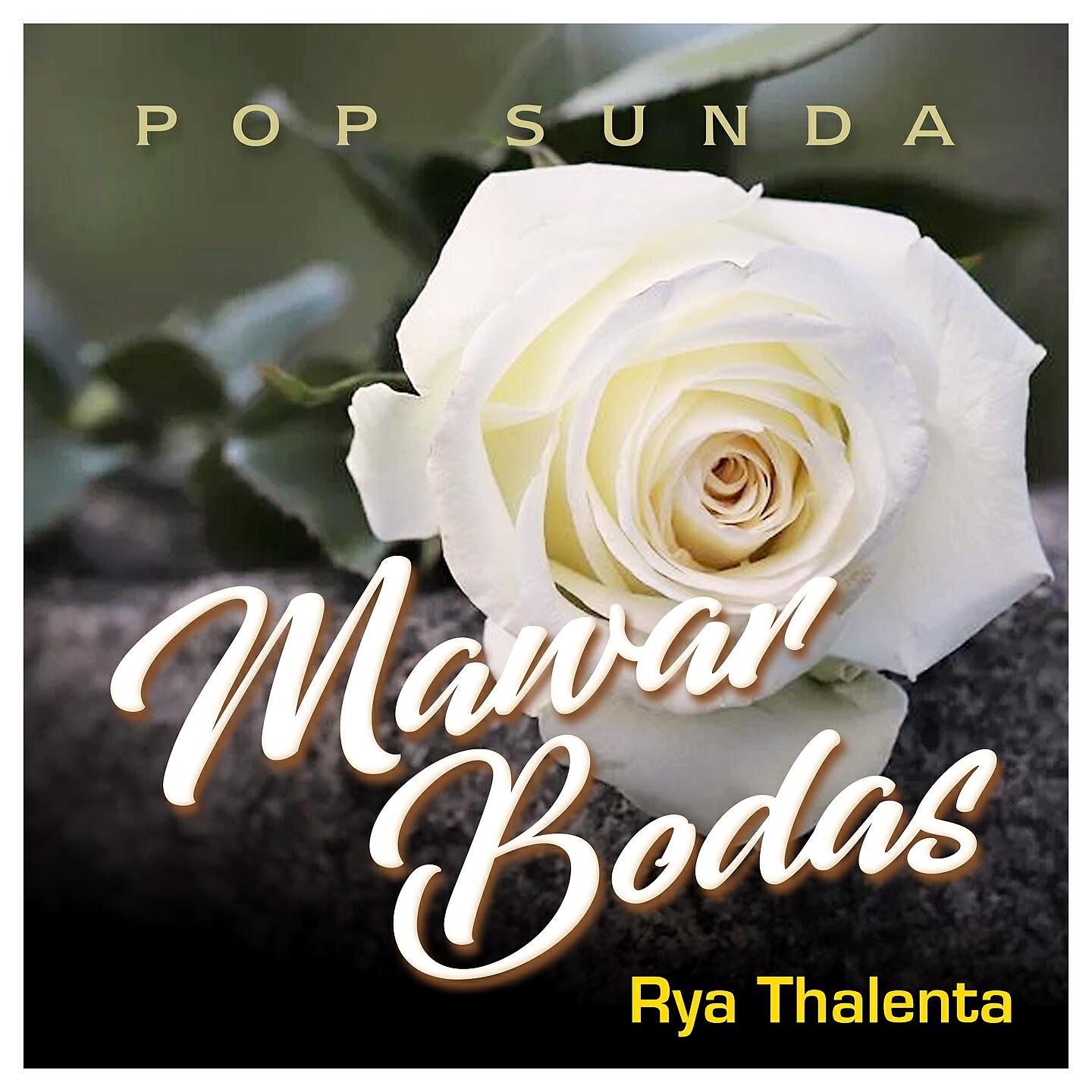 Релиз Mawar Bodas