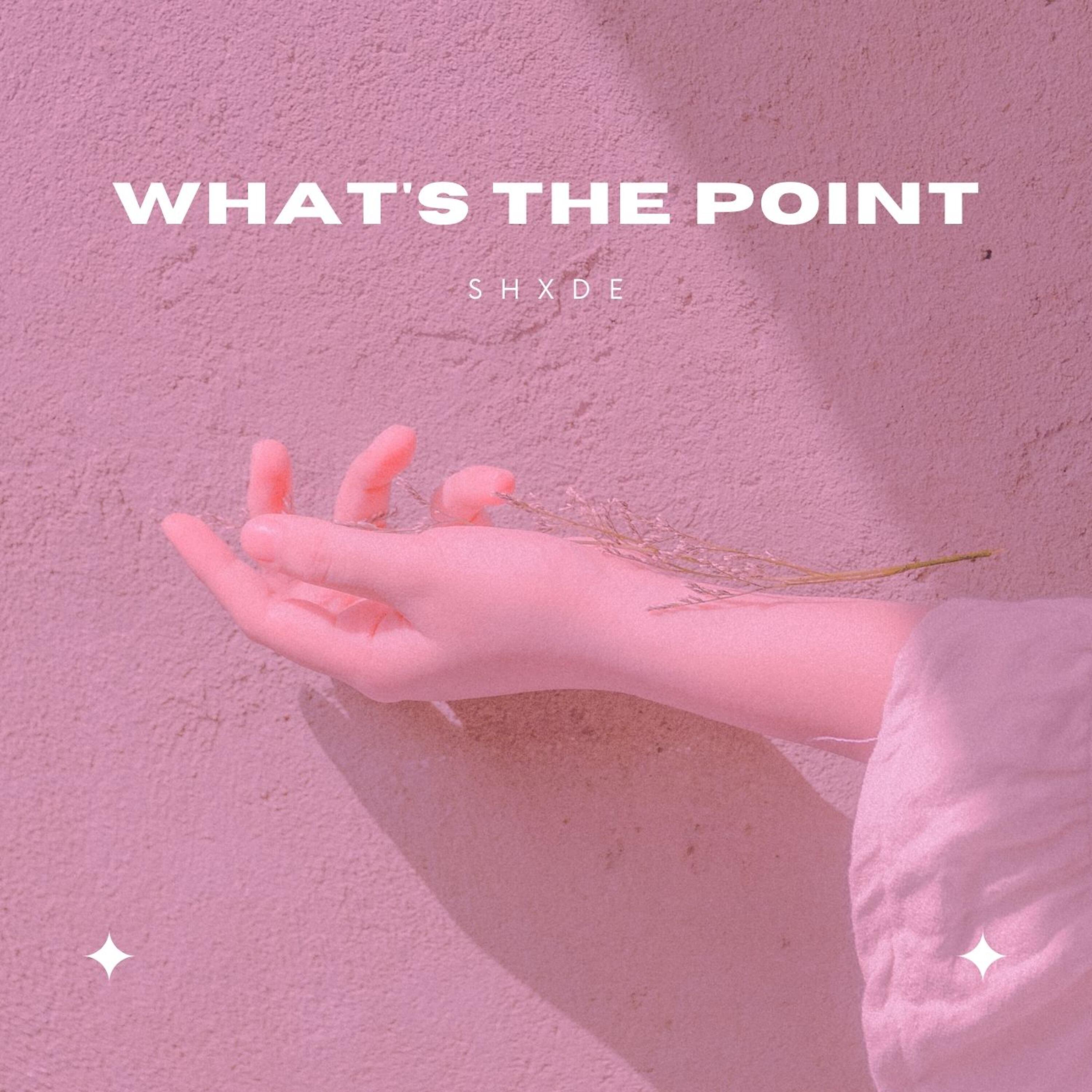 Релиз What's the point