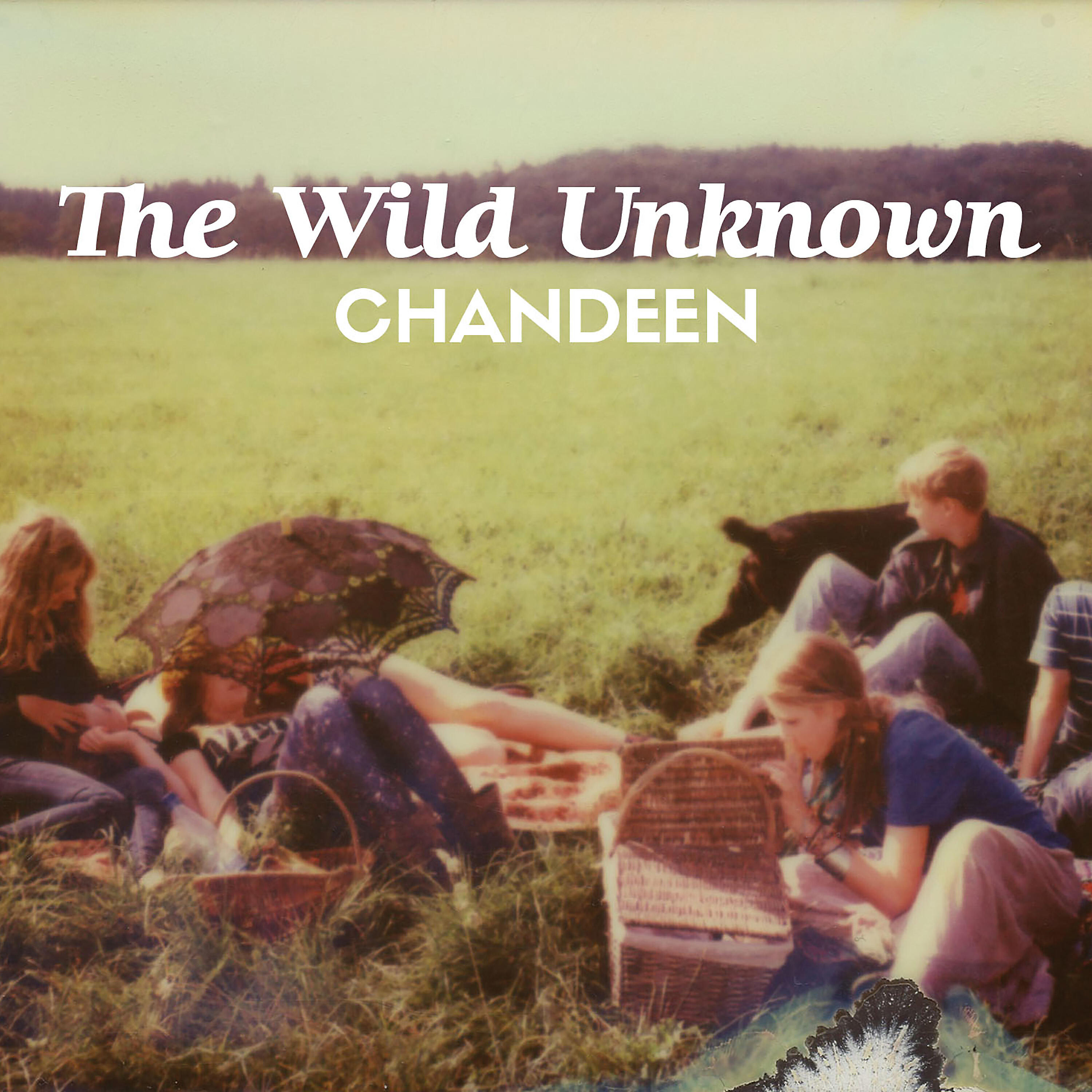 Релиз The Wild Unknown