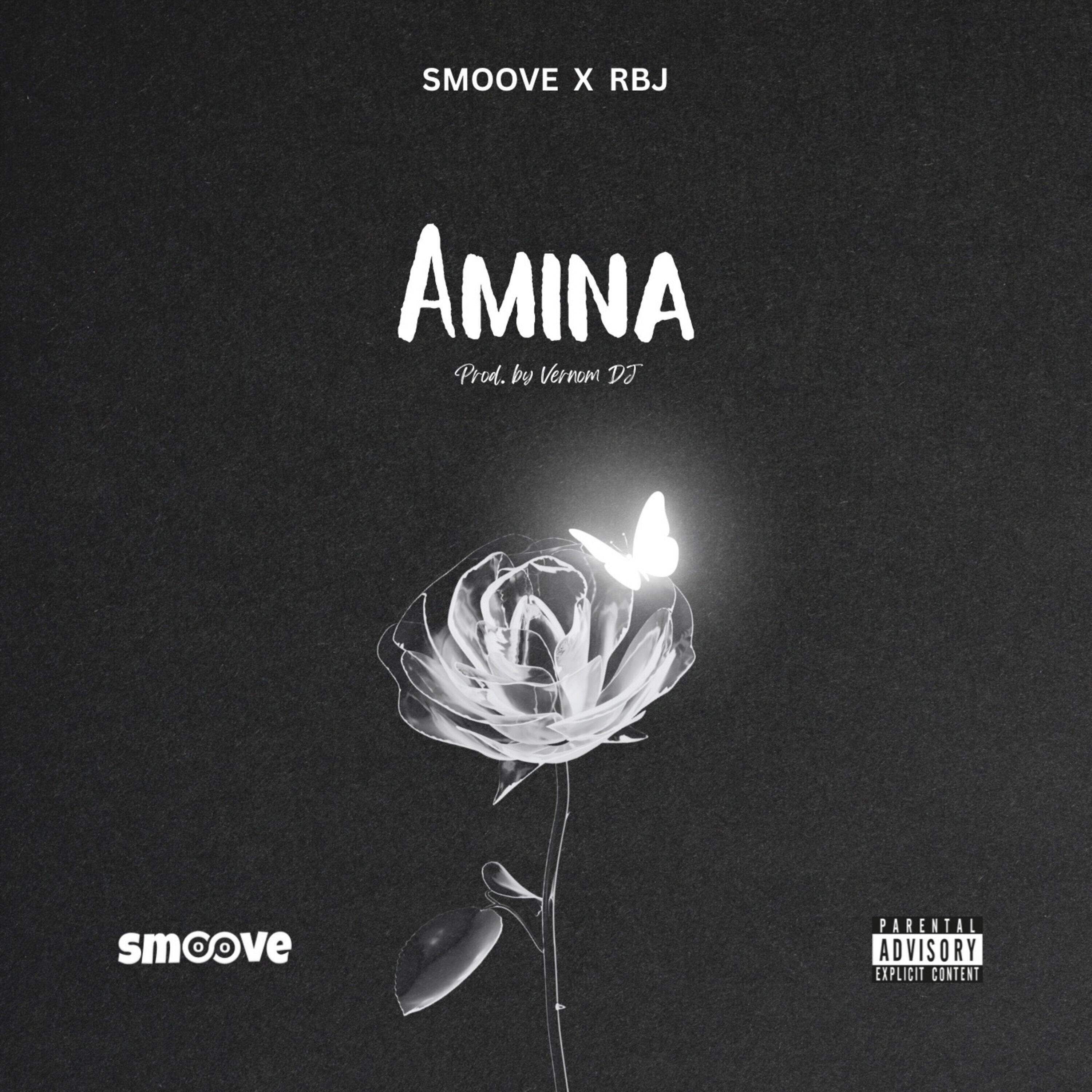 Релиз Amina