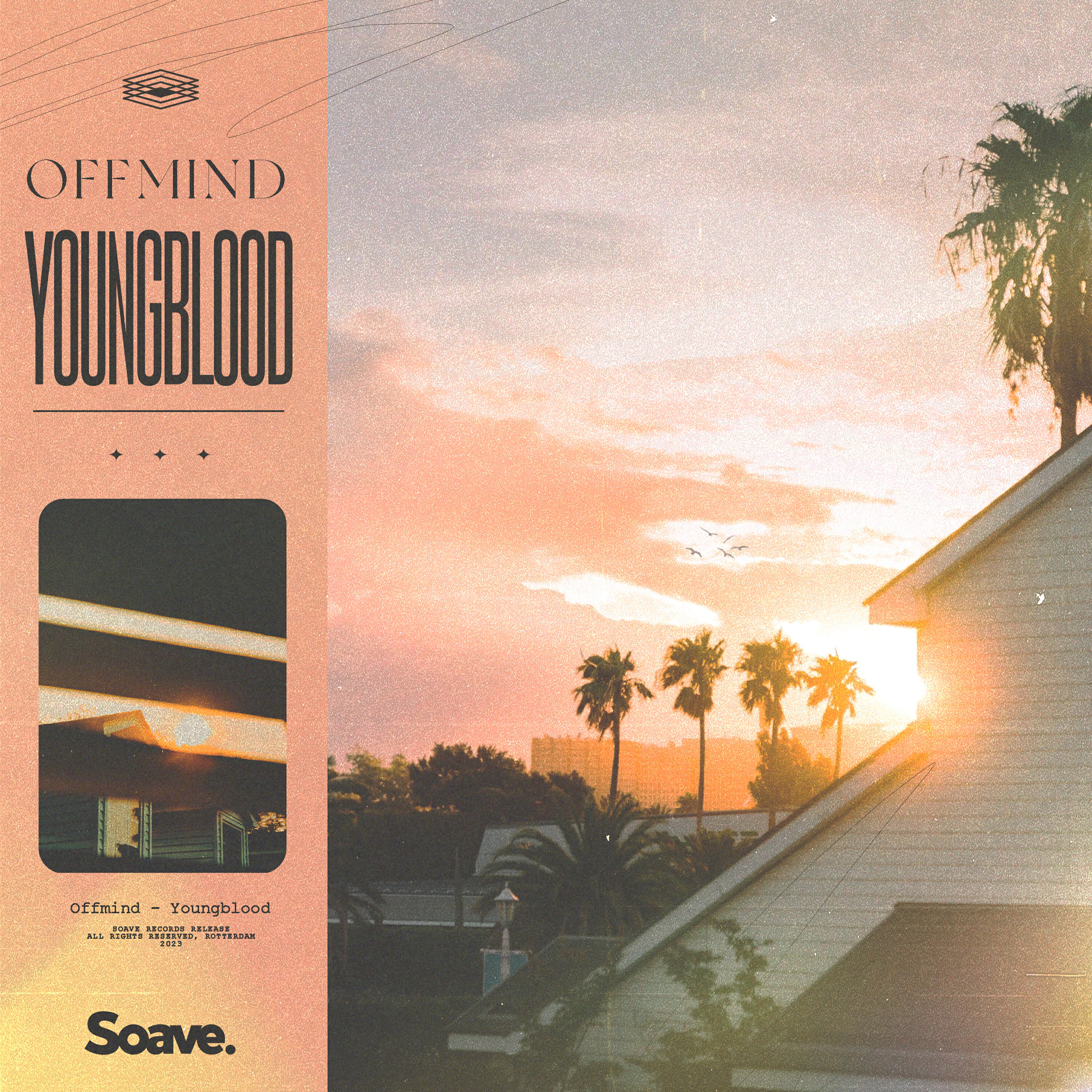Постер альбома Youngblood
