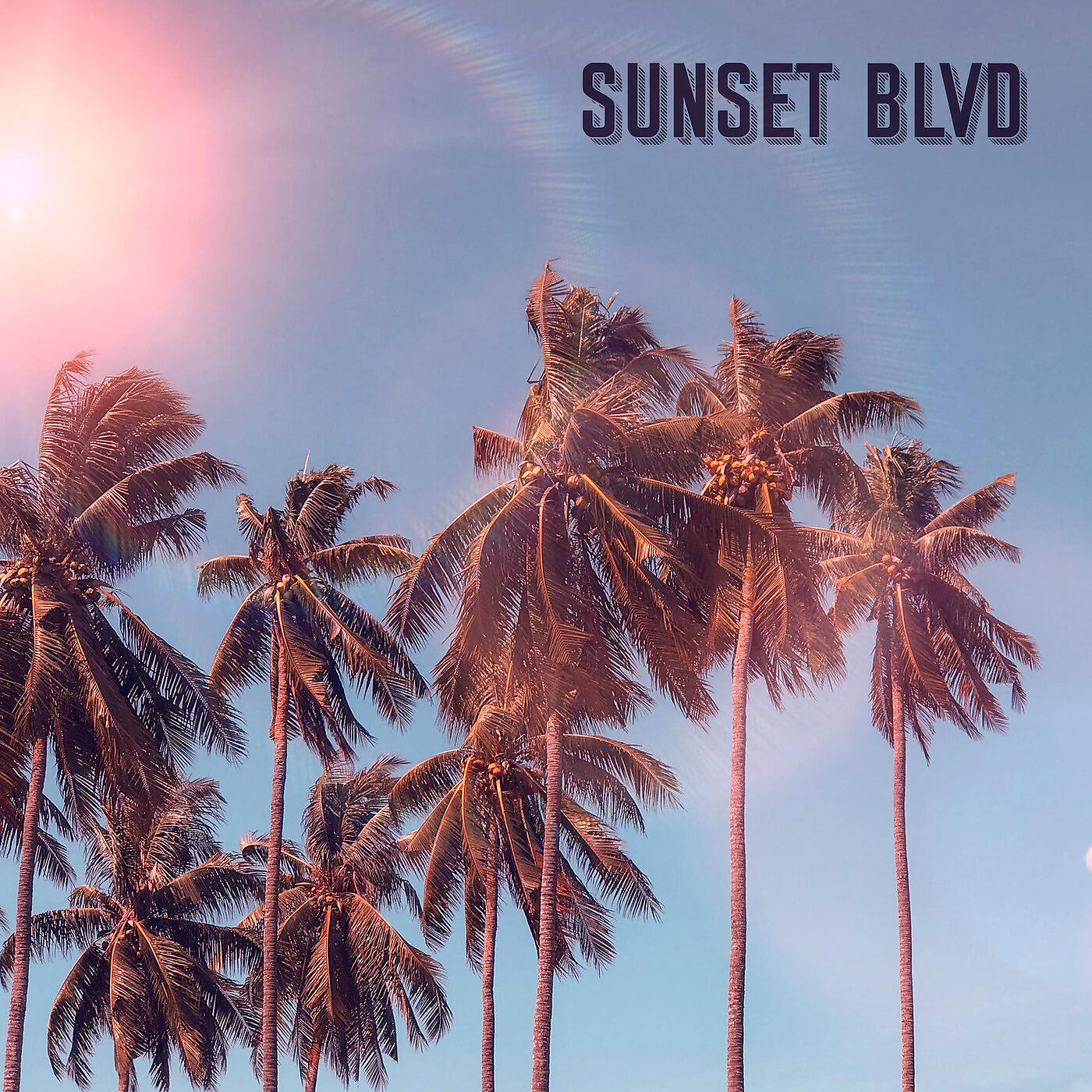 Постер альбома Sunset Blvd