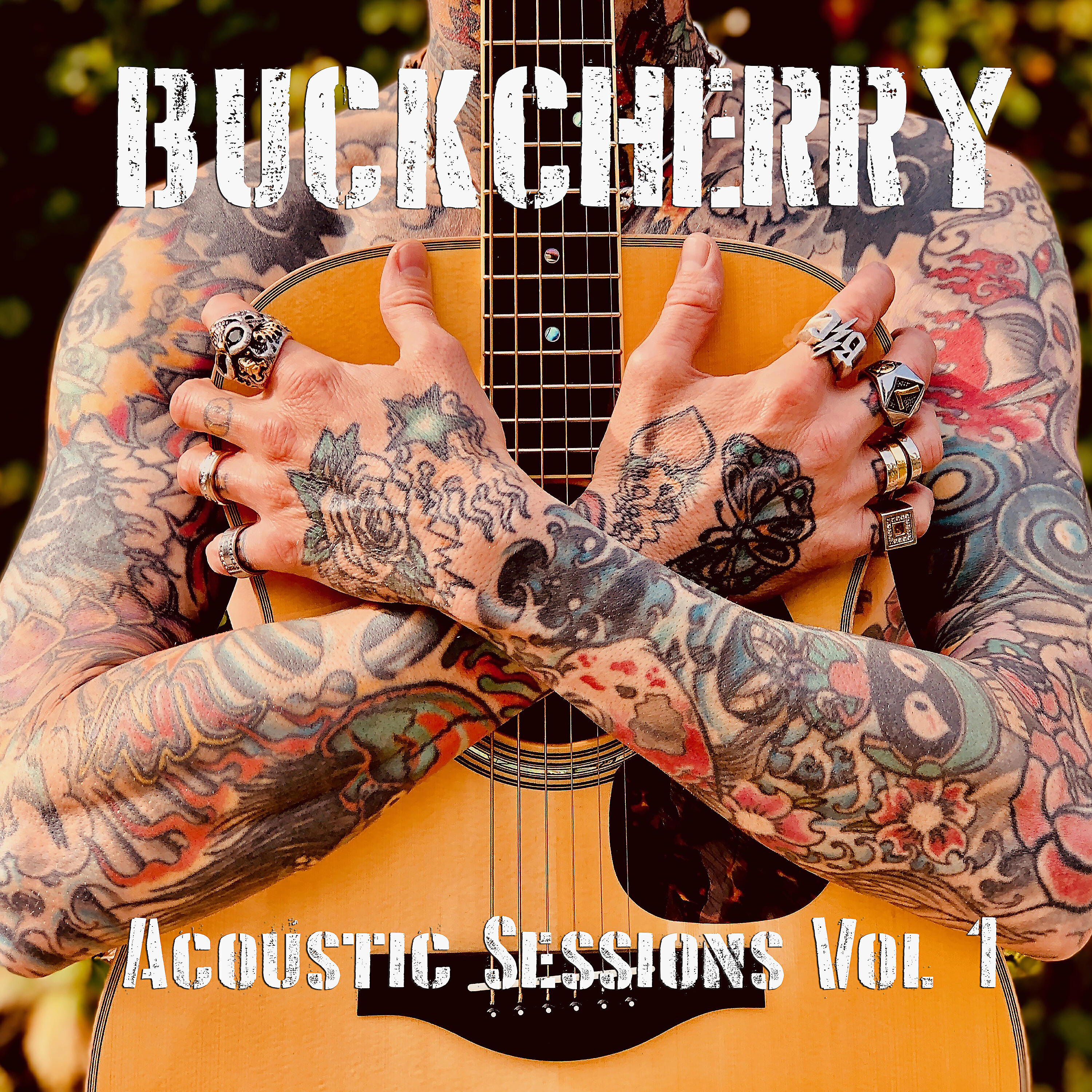 Релиз Acoustic Sessions, Vol. 1