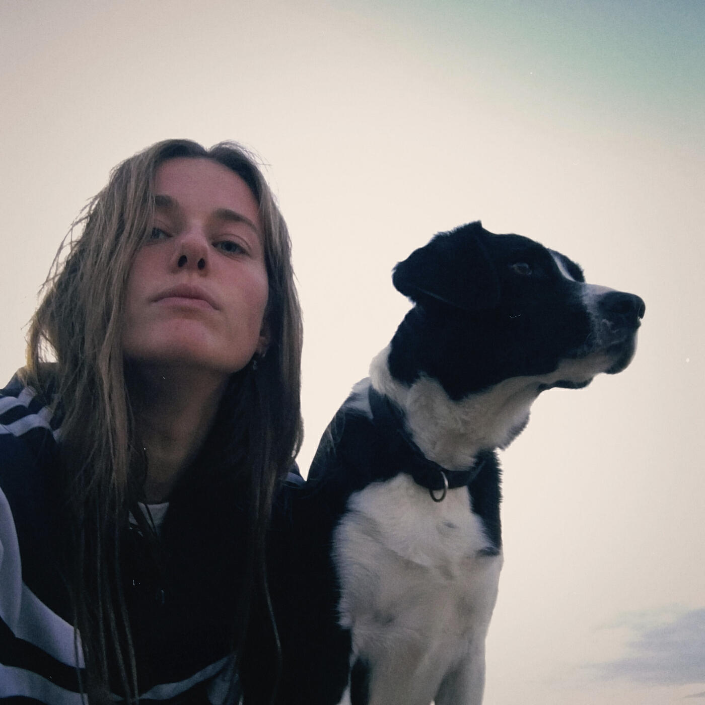 Релиз Orca