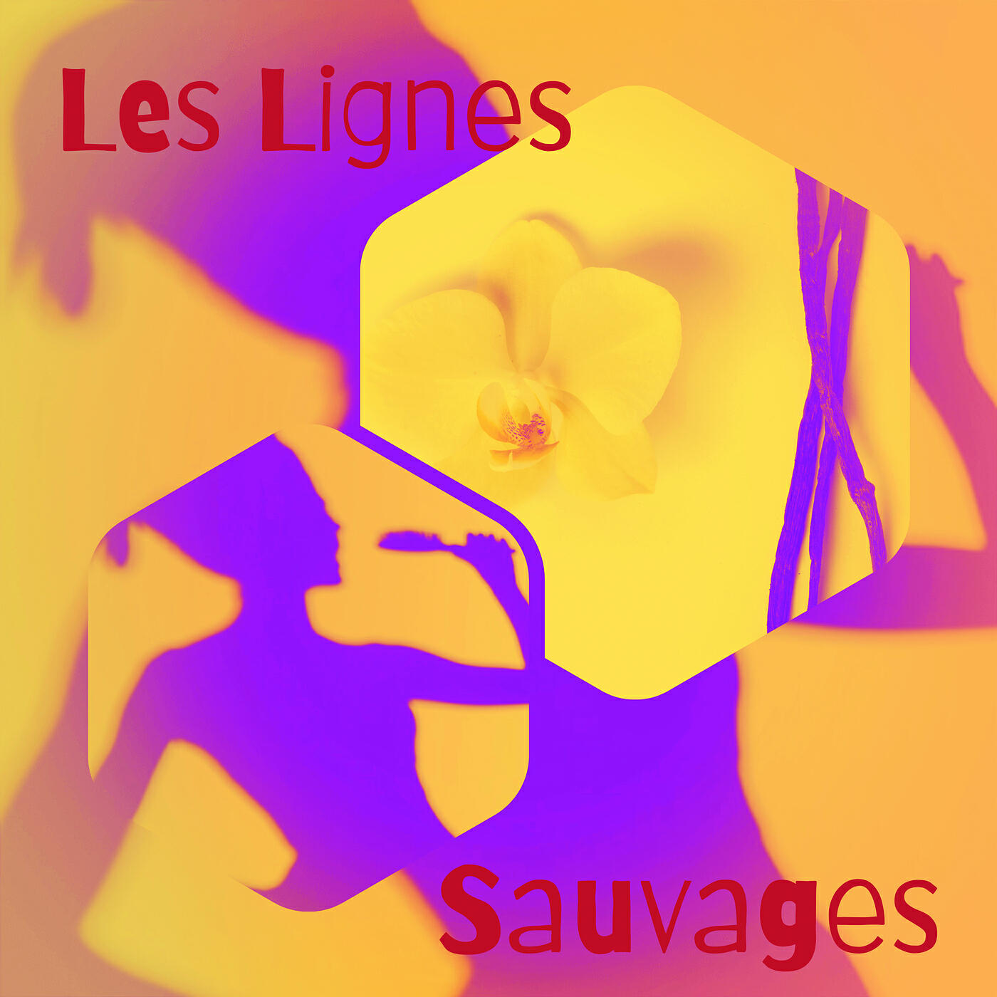 Релиз Les lignes sauvages