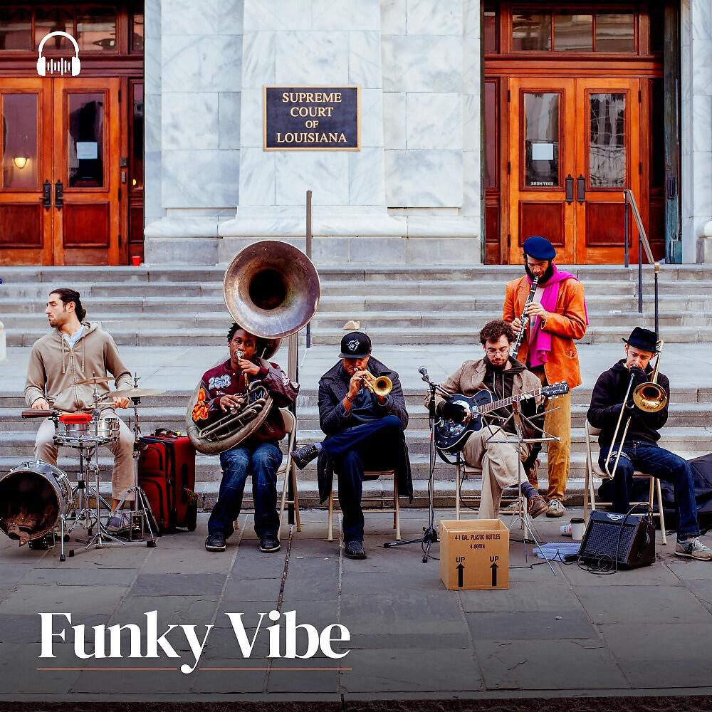 Постер альбома Funky Vibe