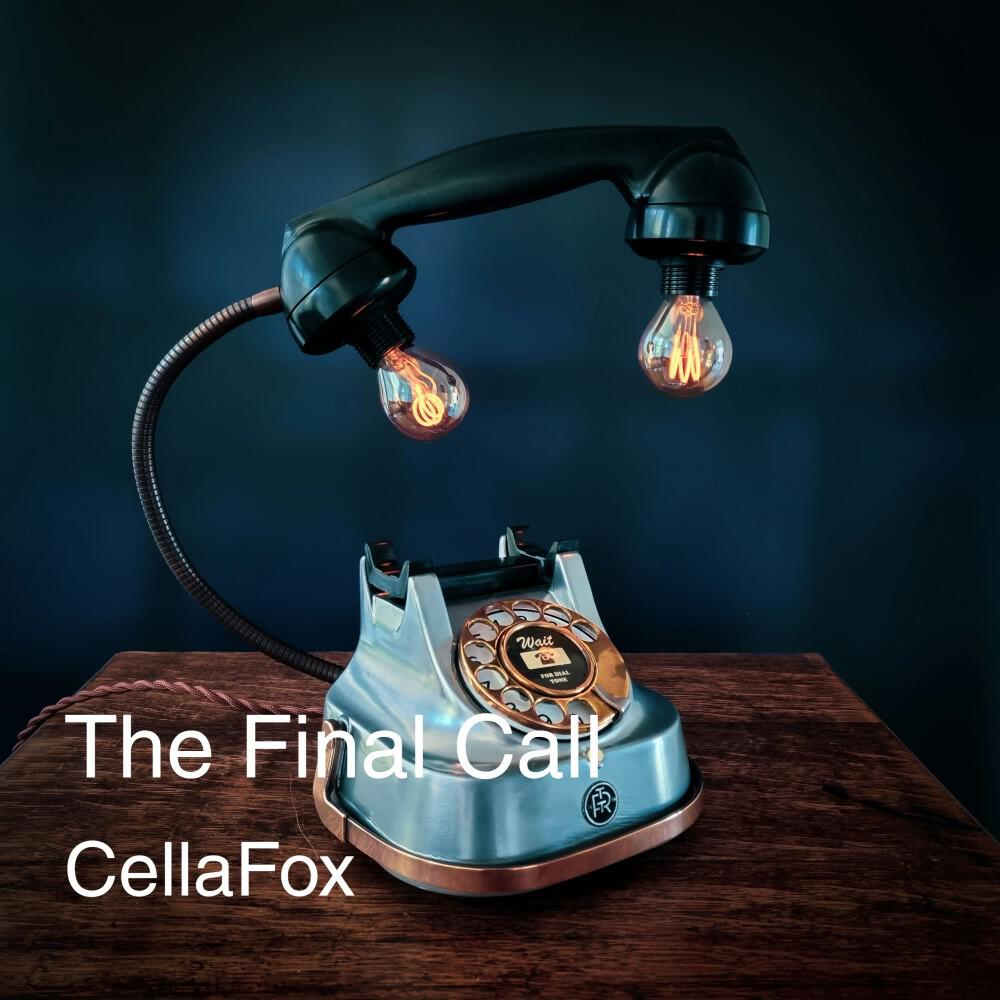 Релиз The Final Call