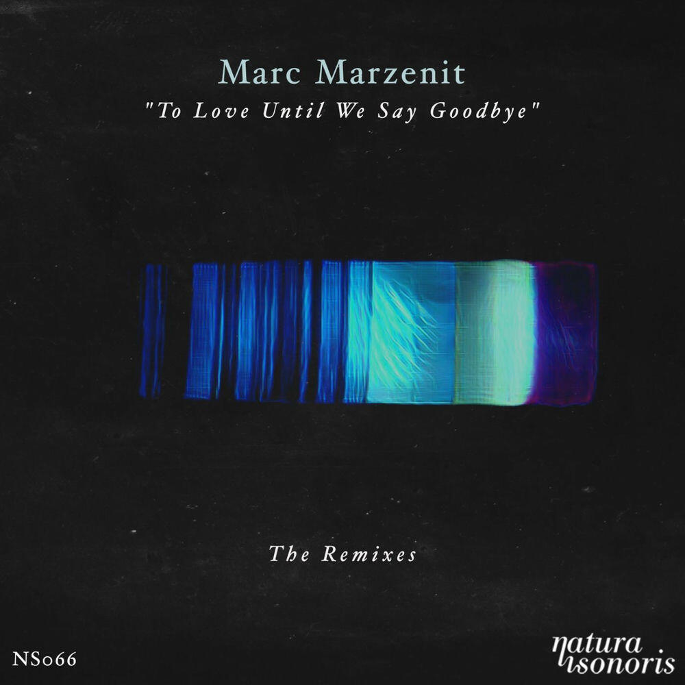 Релиз To Love Until We Say Goodbye. The Remixes