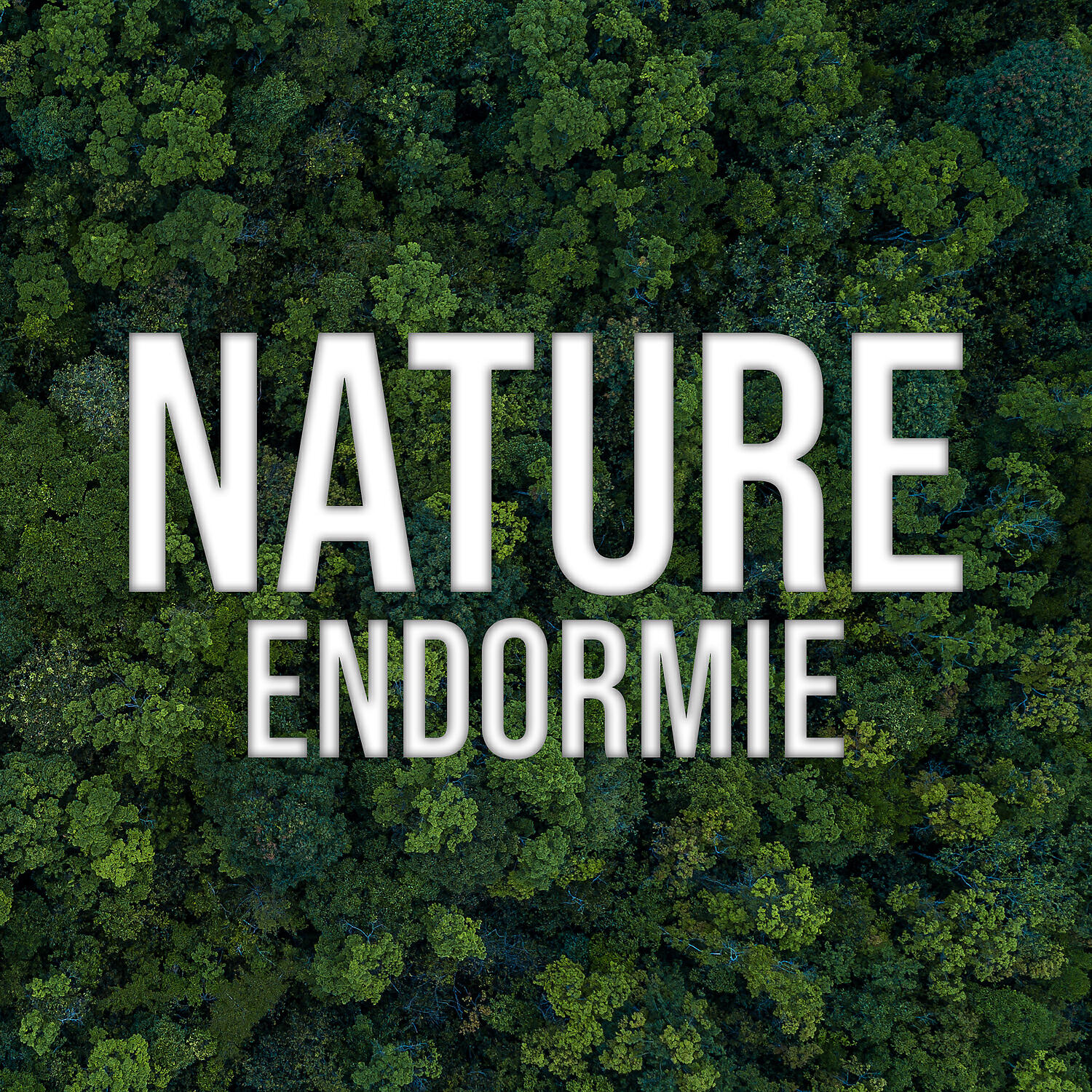 Релиз Nature endormie: Musique de relaxation nocturne, Sons de la nature endormie, Temps de soulagement