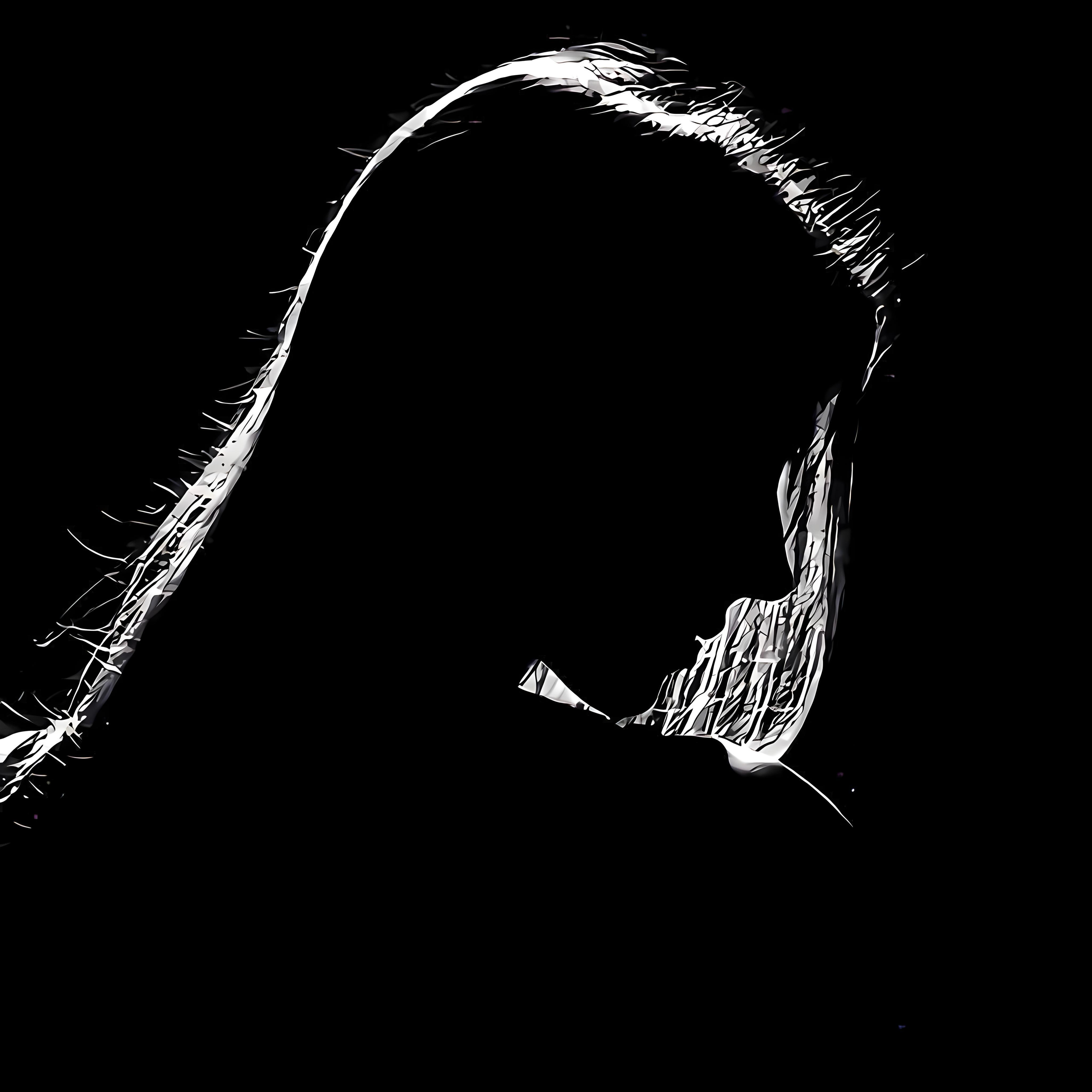Релиз СИЛУЭТ (SHADOW)