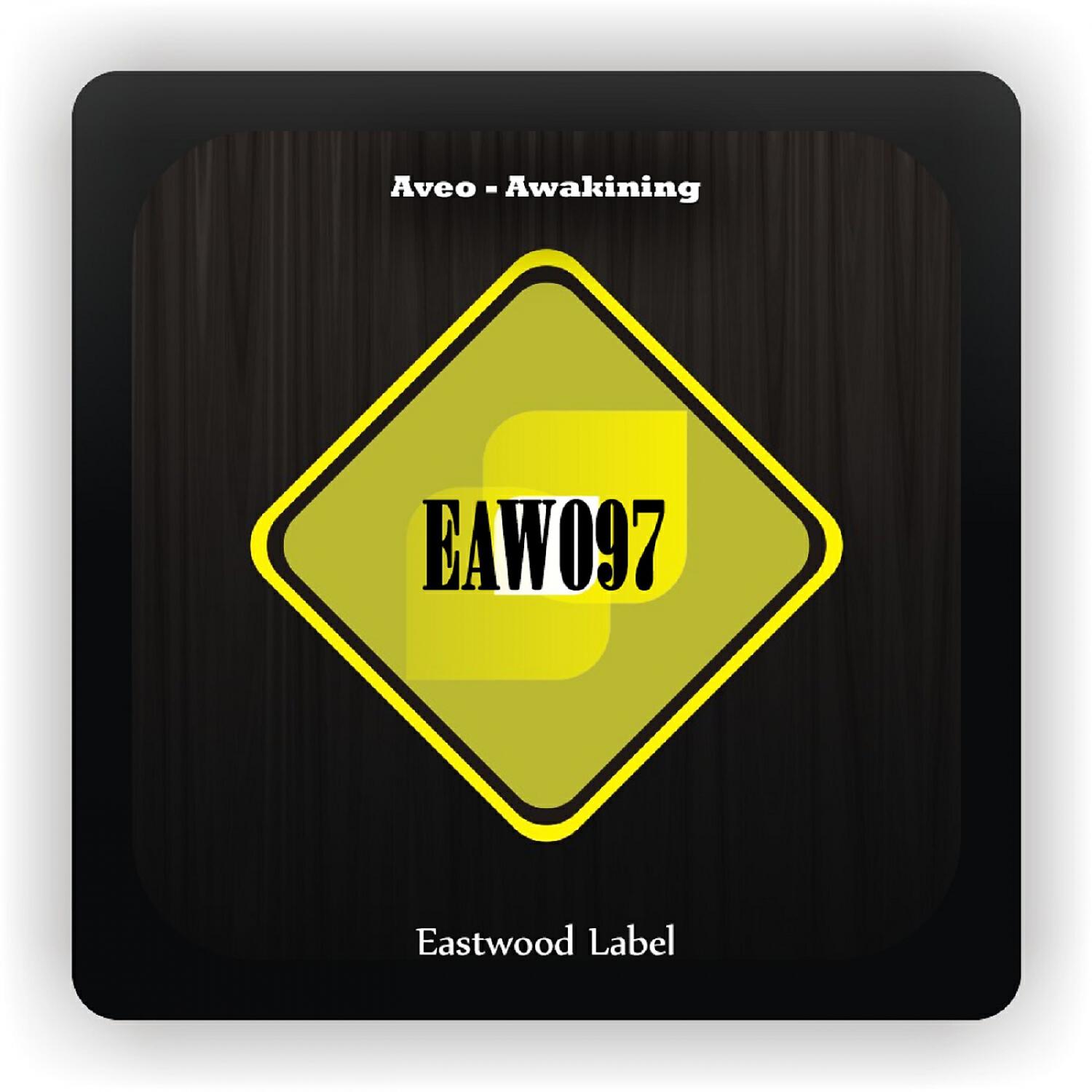 Релиз Awakining