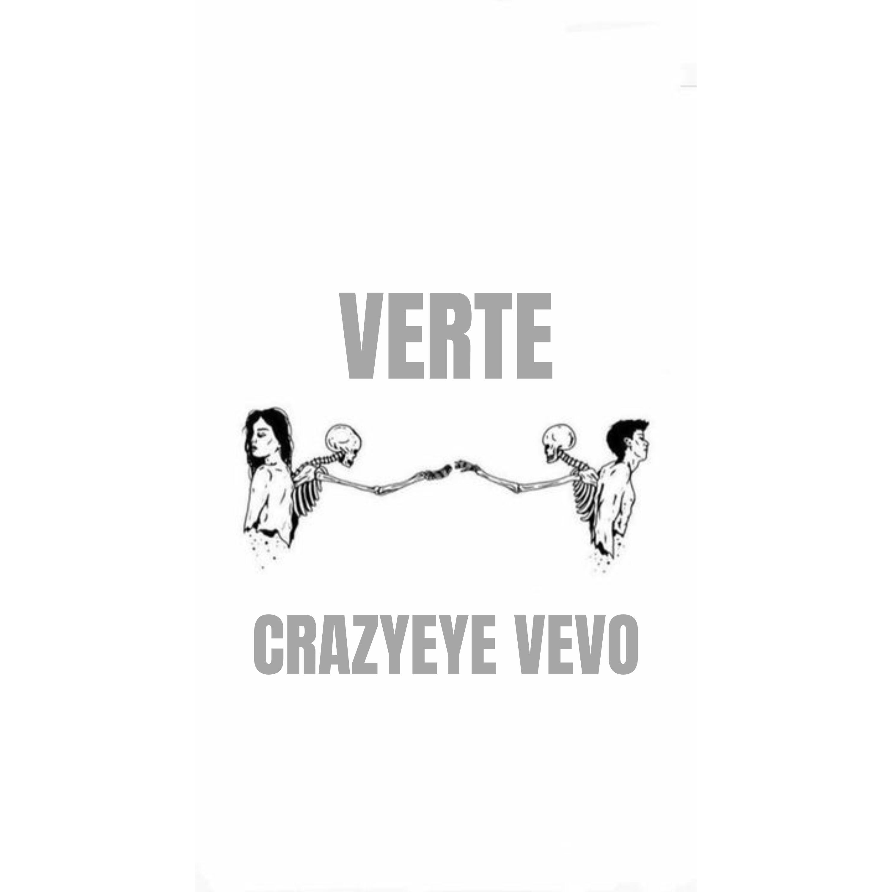 Постер альбома Verte
