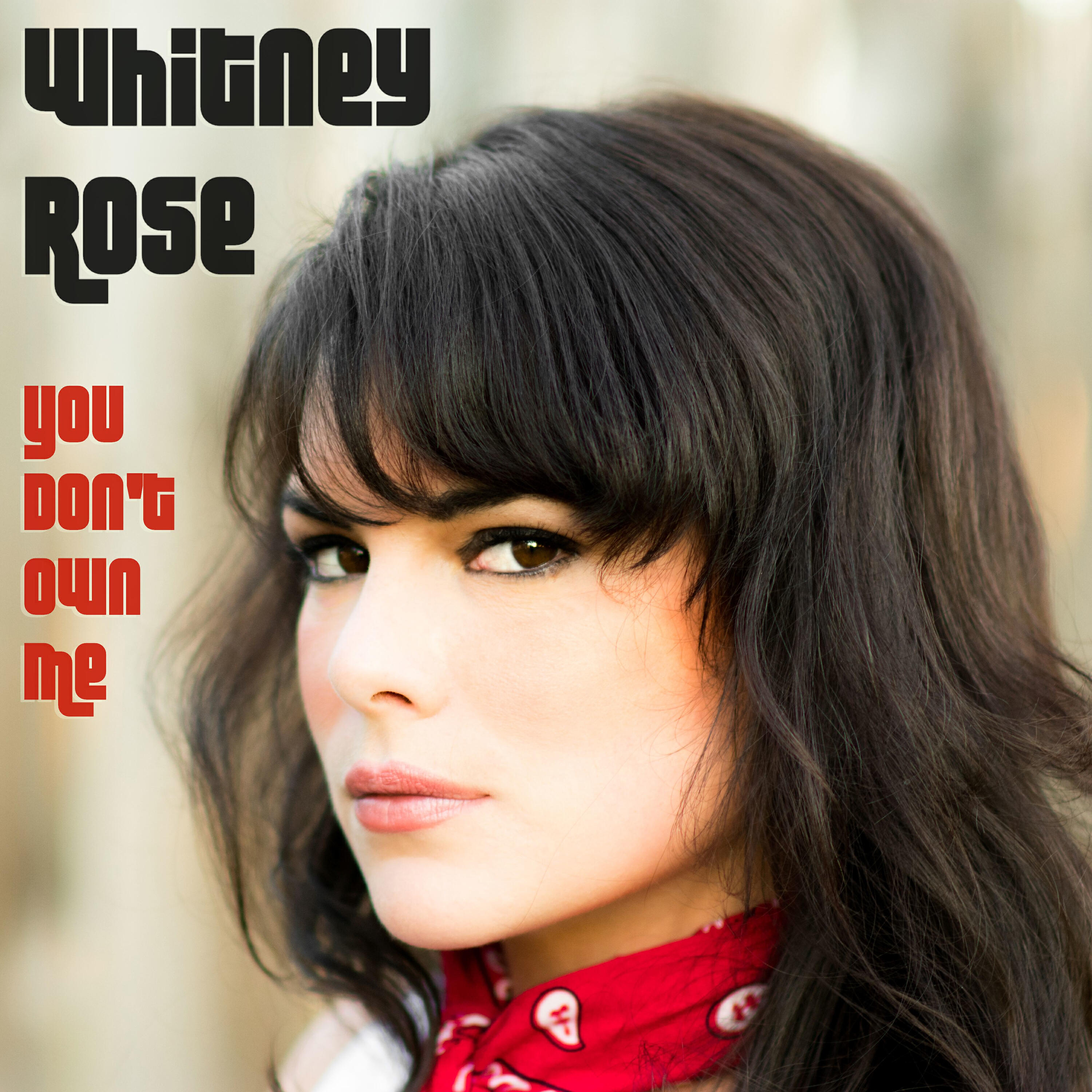 Релиз You Don't Own Me