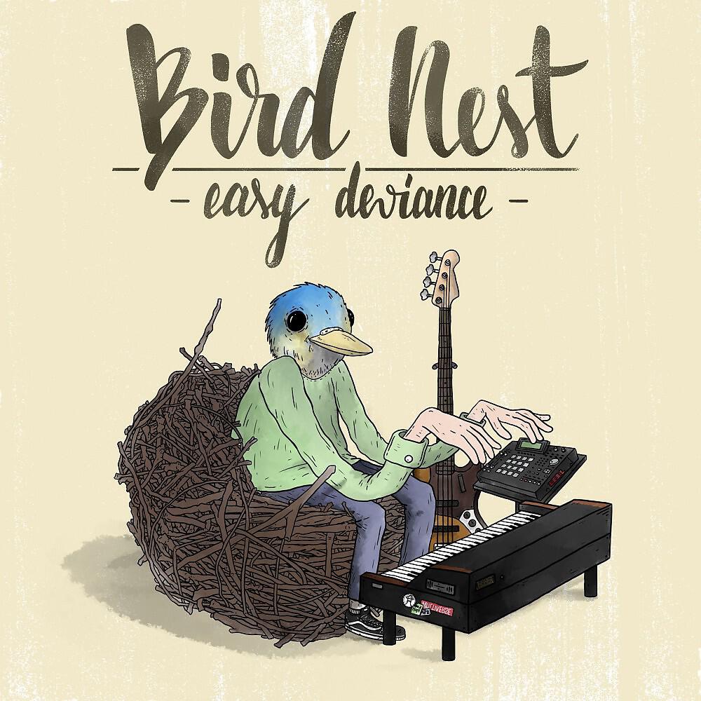 Релиз Bird Nest