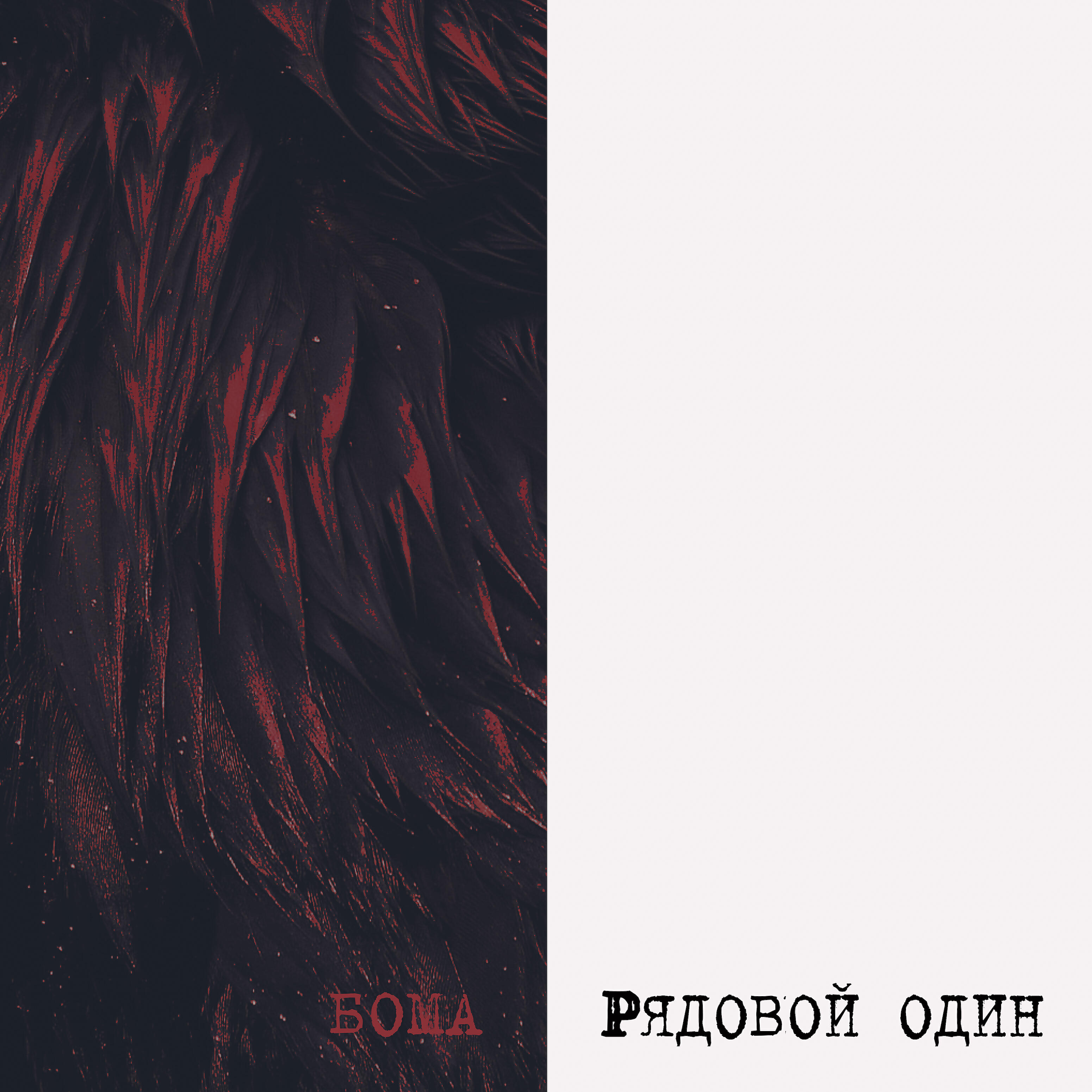 Постер альбома Рядовой один
