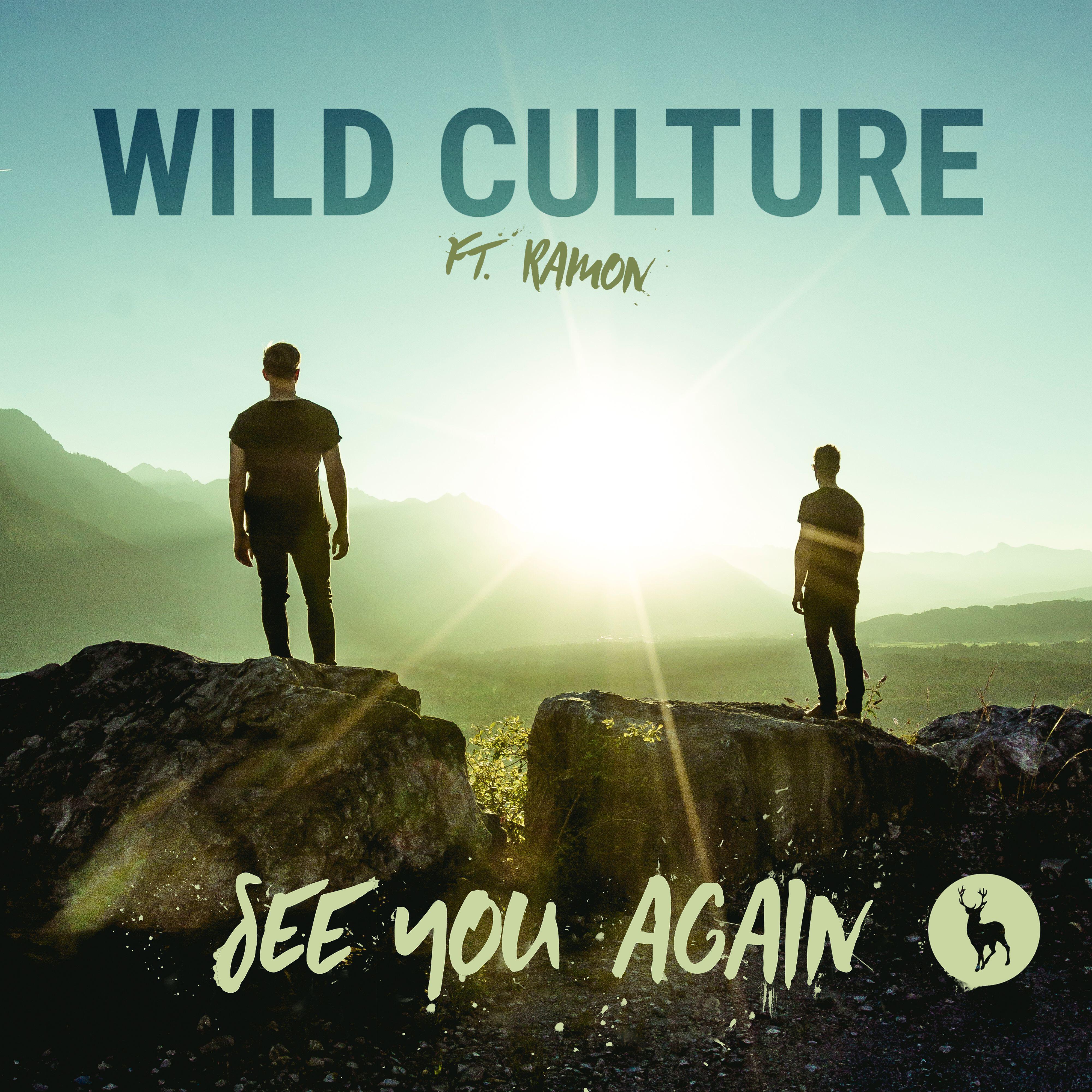 Релиз See You Again (feat. Ramon) [Remixes]
