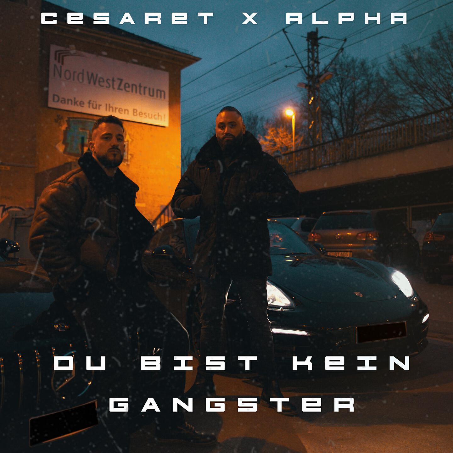 Релиз Du Bist Kein Gangster