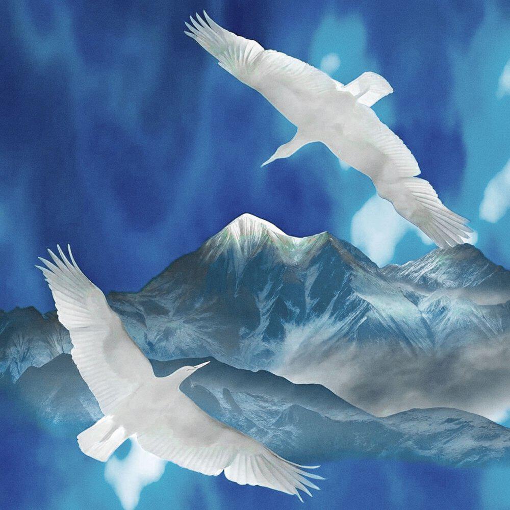 Релиз HIMALAYA CHANCES