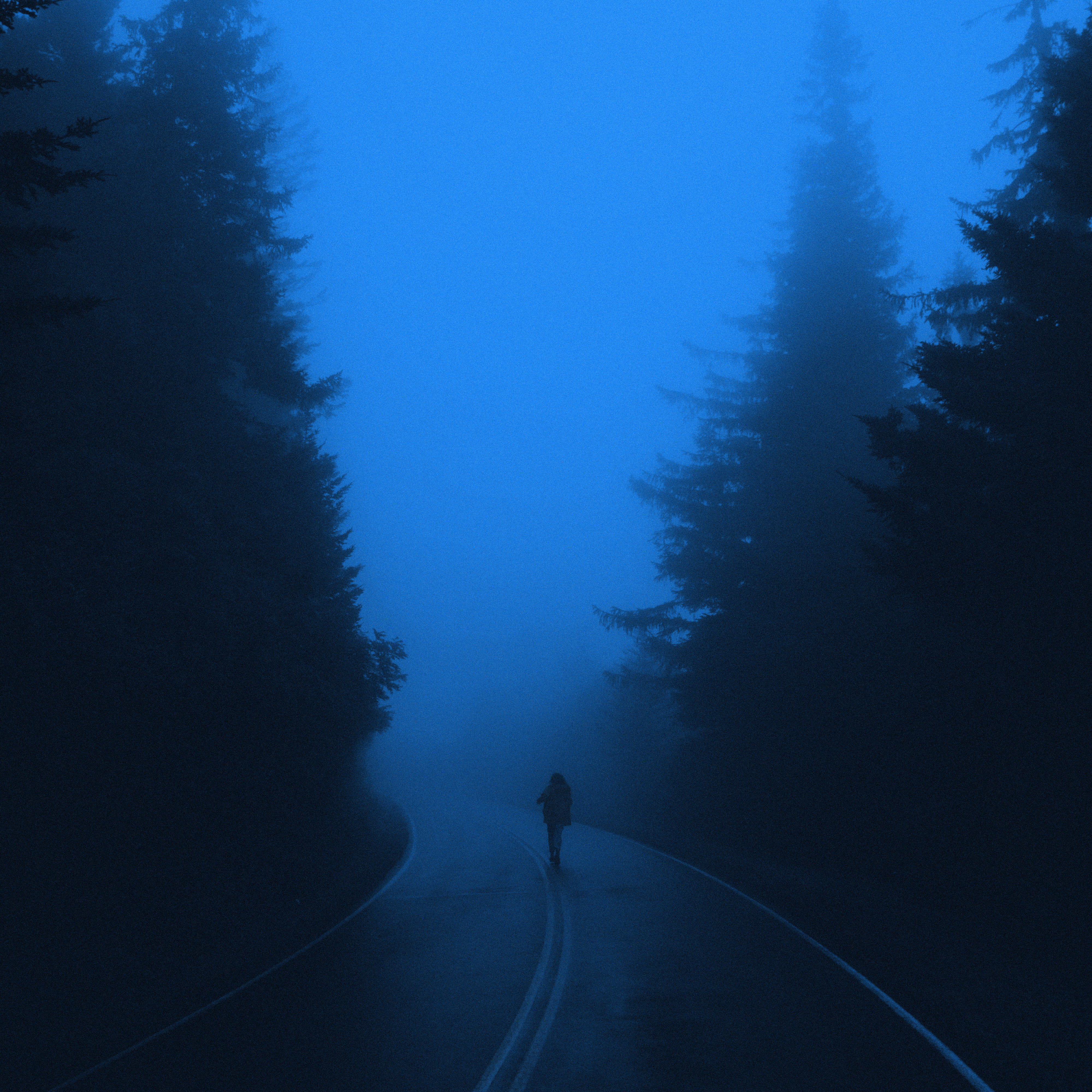Релиз Roads Were Filled With Silence
