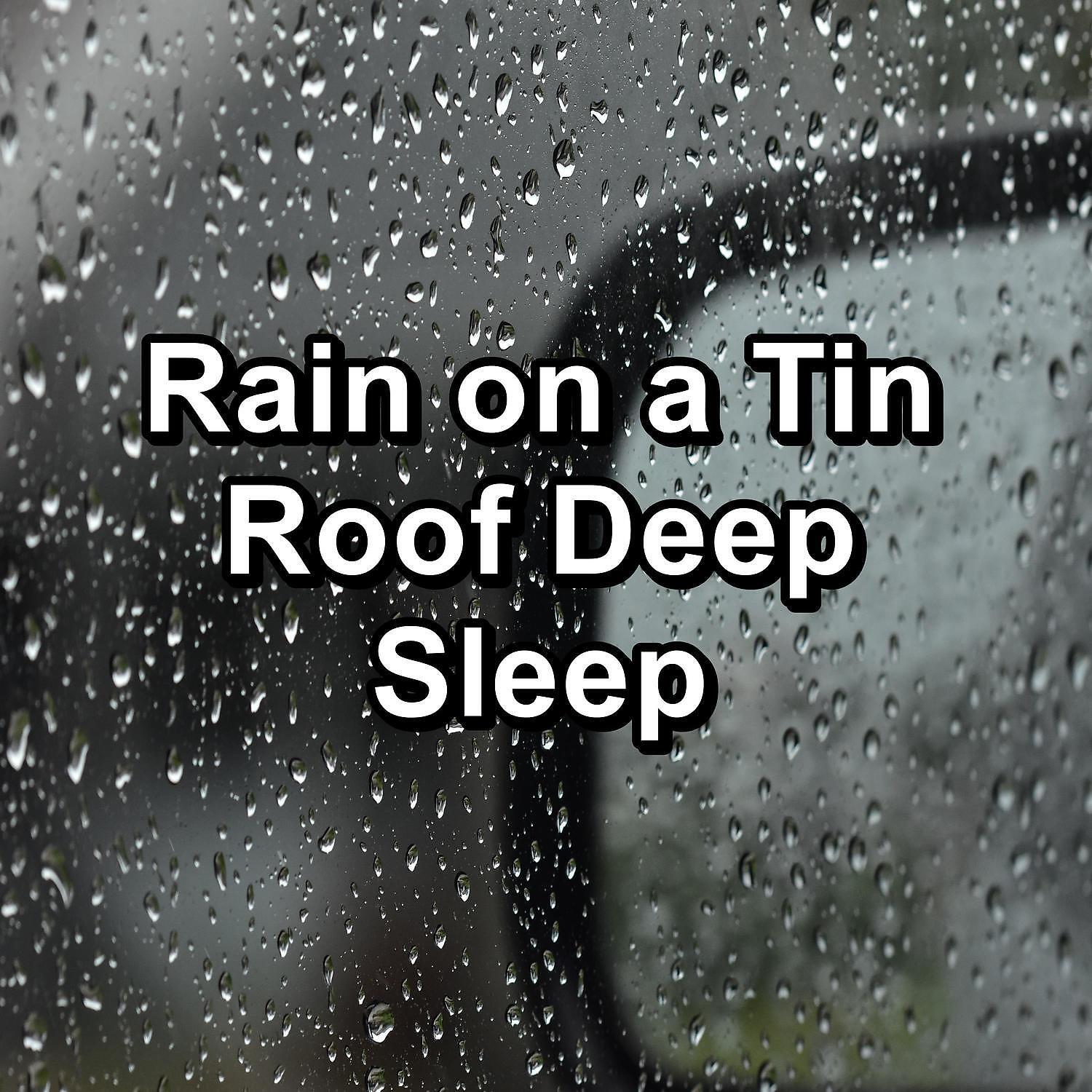 Релиз Rain on a Tin Roof Deep Sleep