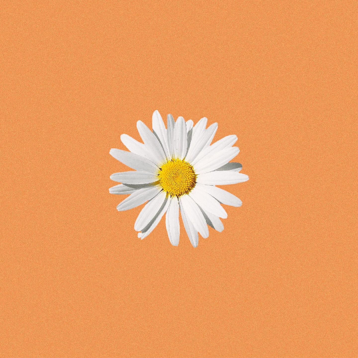 Релиз Summer
