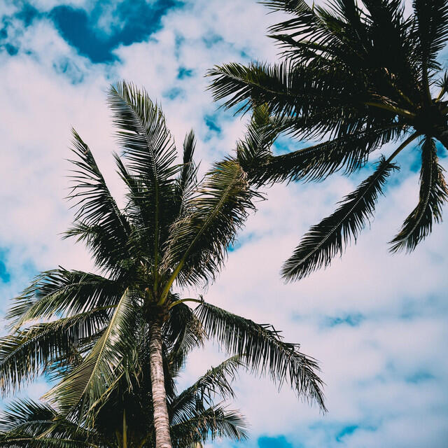 Релиз Cali