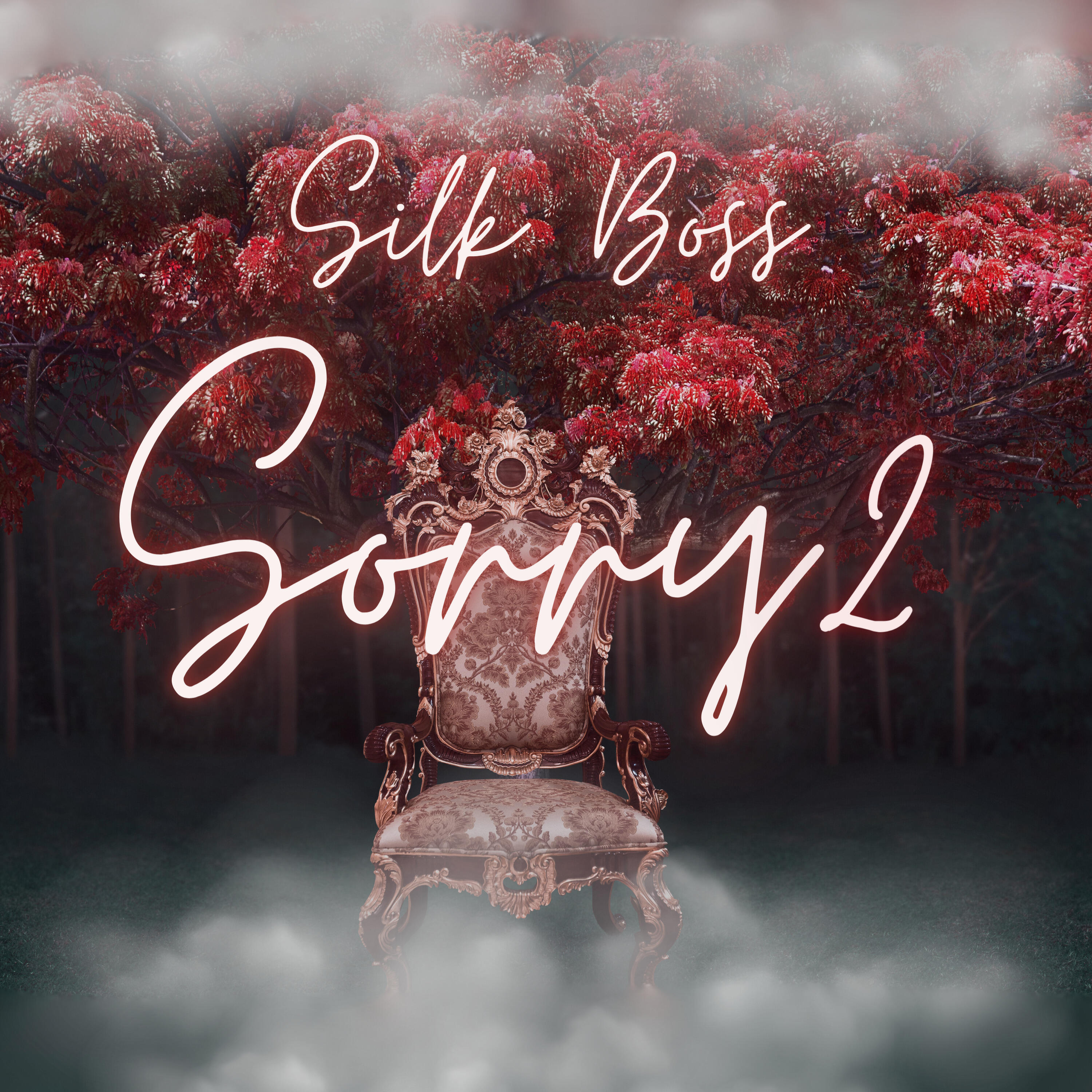 Релиз Sorry 2