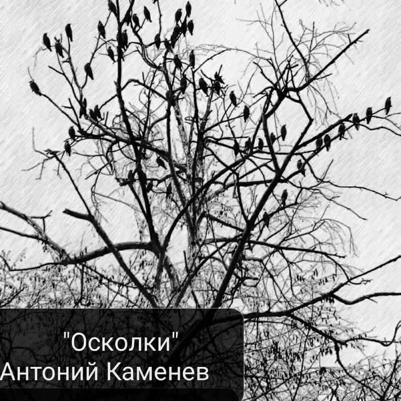 Постер альбома Осколки
