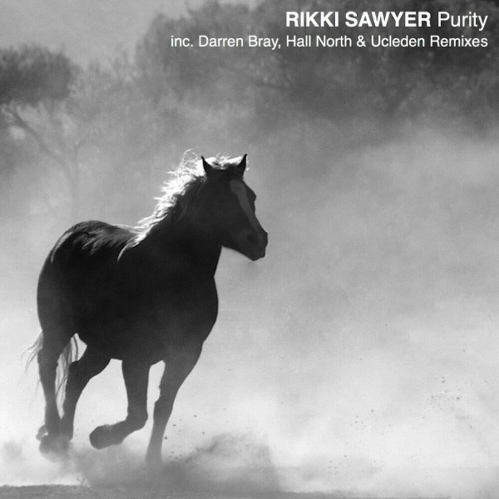 Релиз Purity