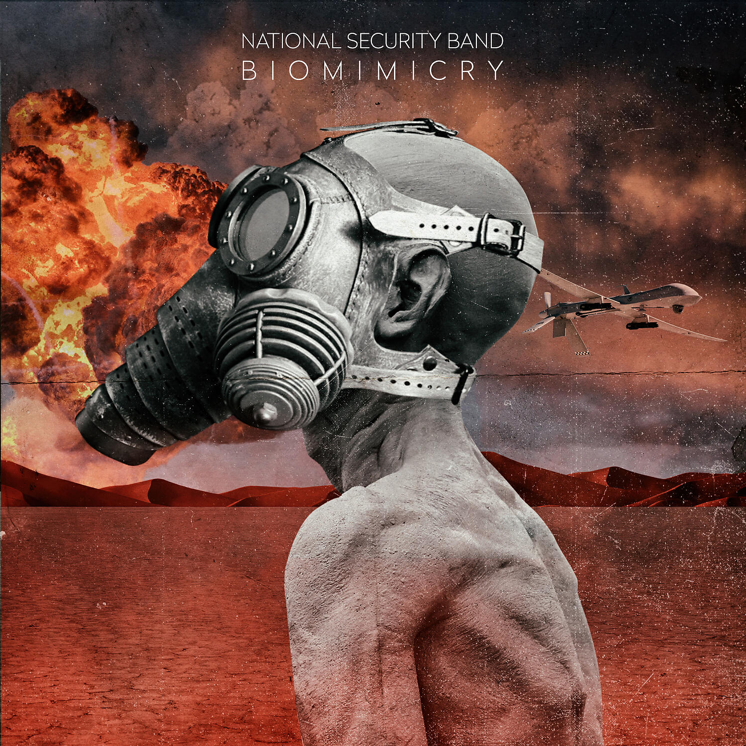 National Security Band