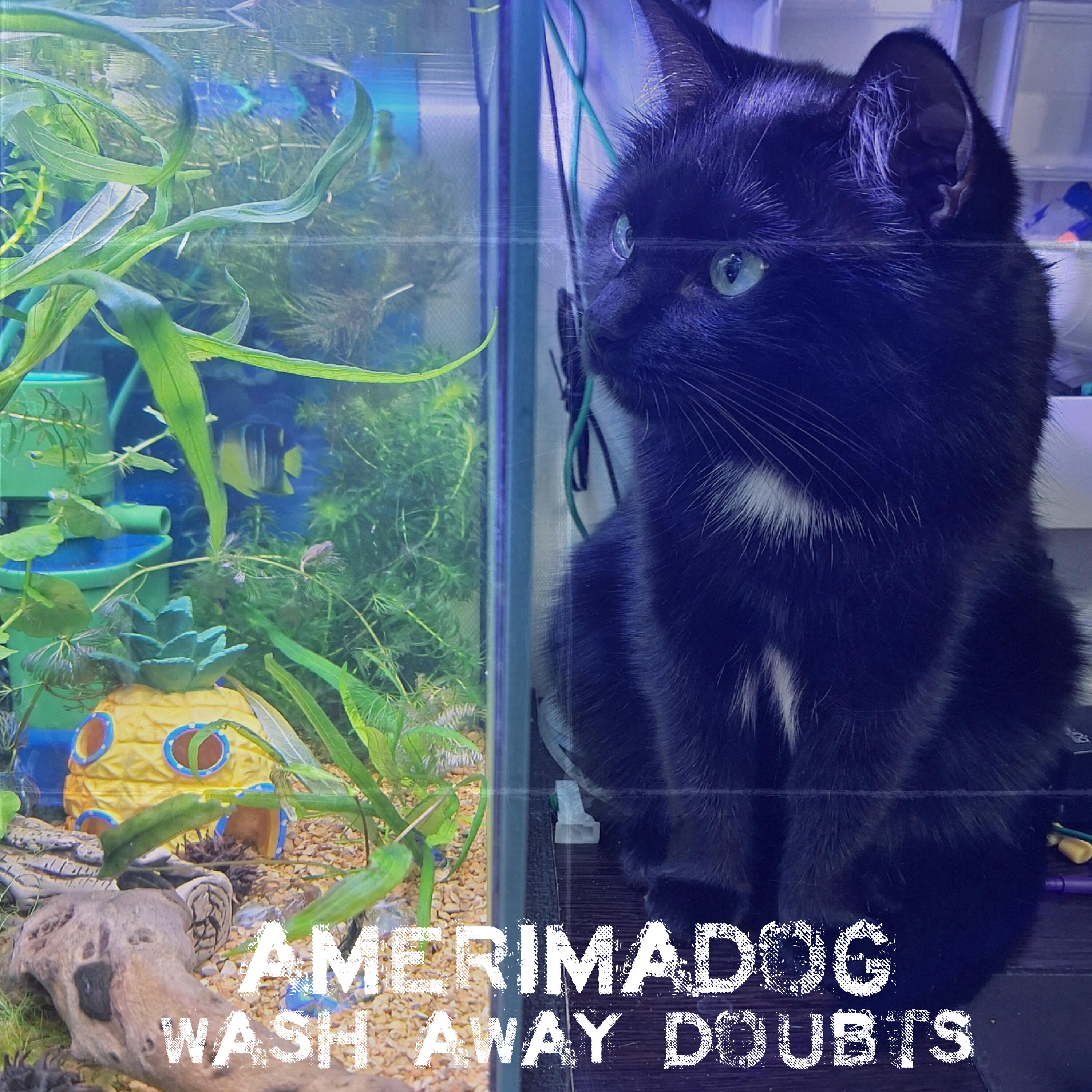 Релиз Wash Away Doubts