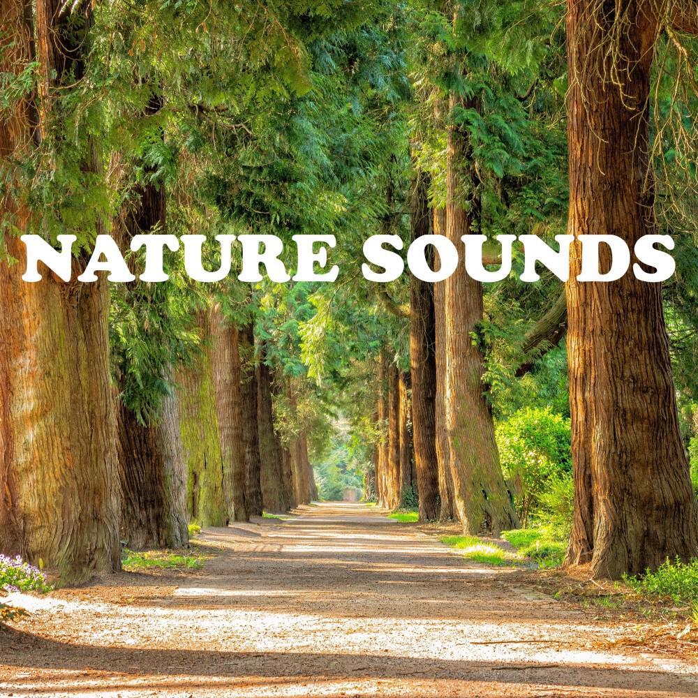 Релиз Nature Sounds