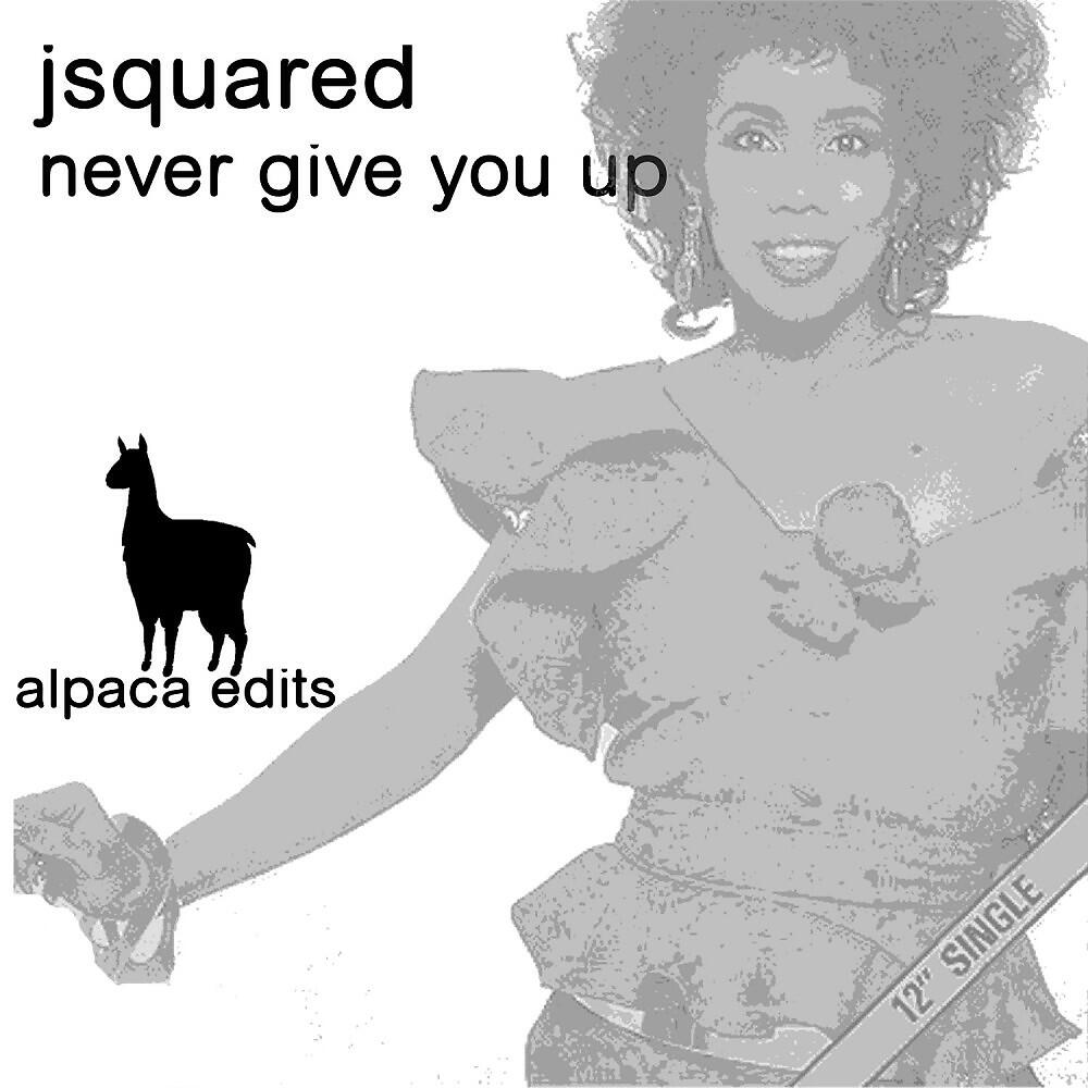 Релиз Never Give You Up (Original Mix)