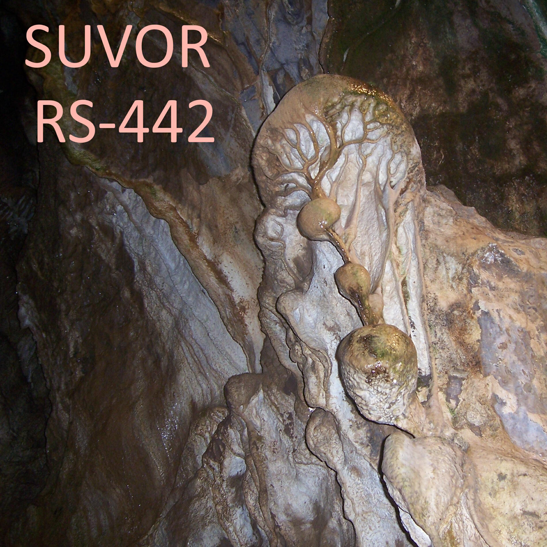 Релиз RS-442