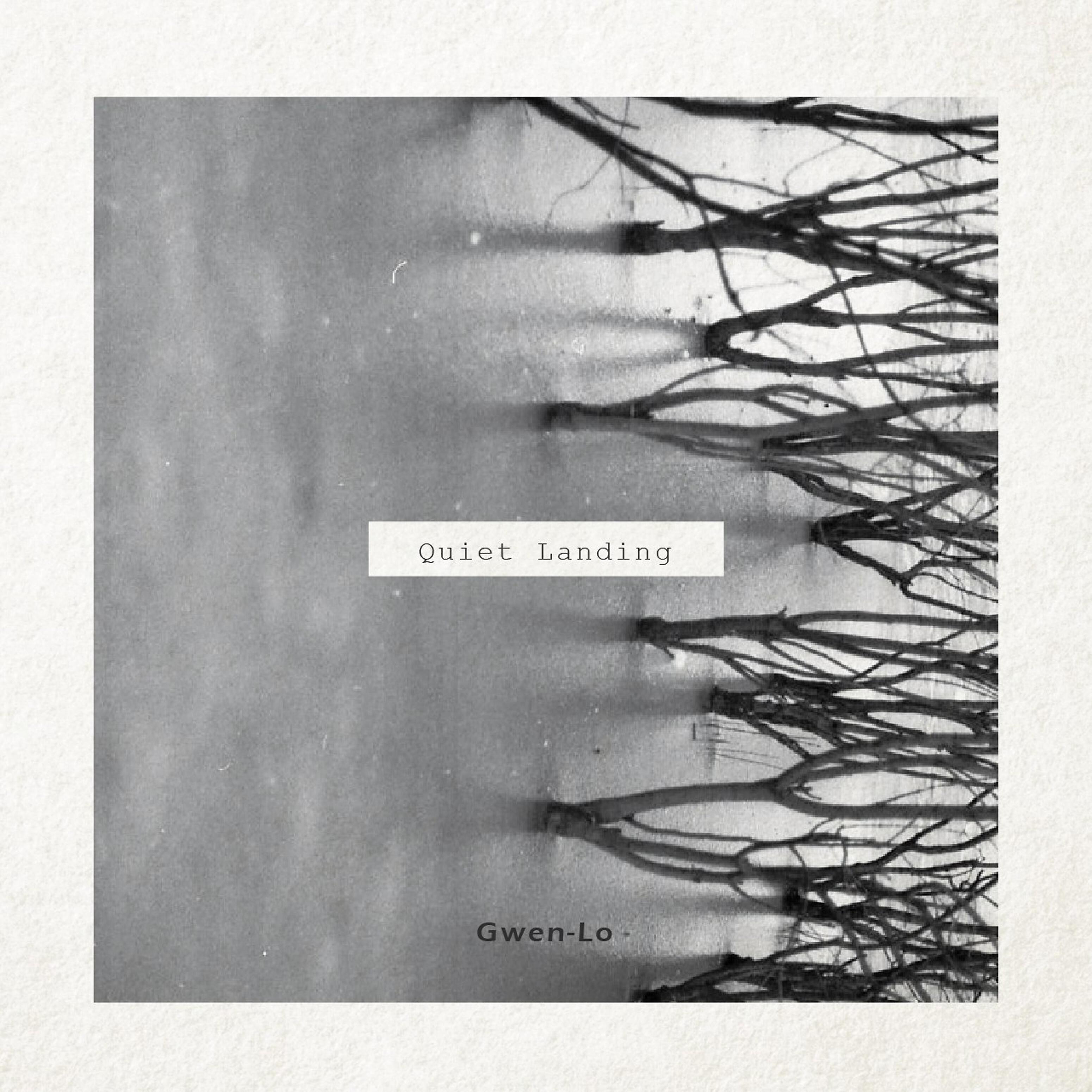 Релиз Quiet Landing