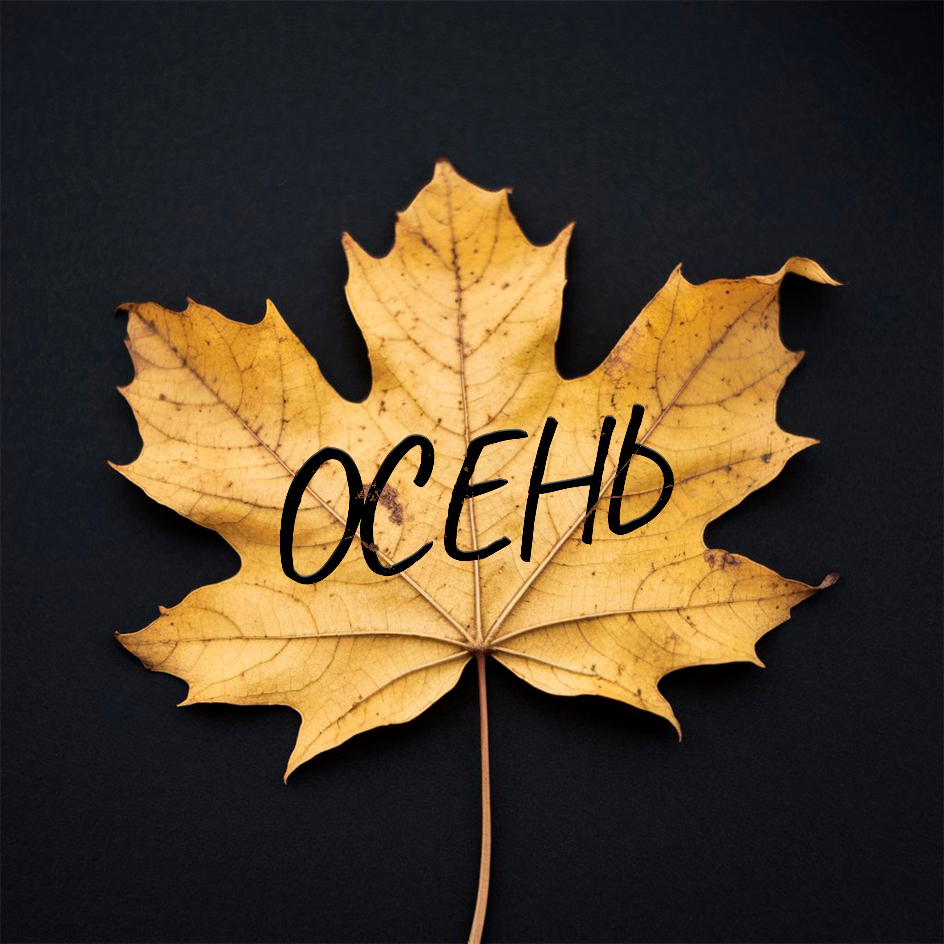 Релиз Осень