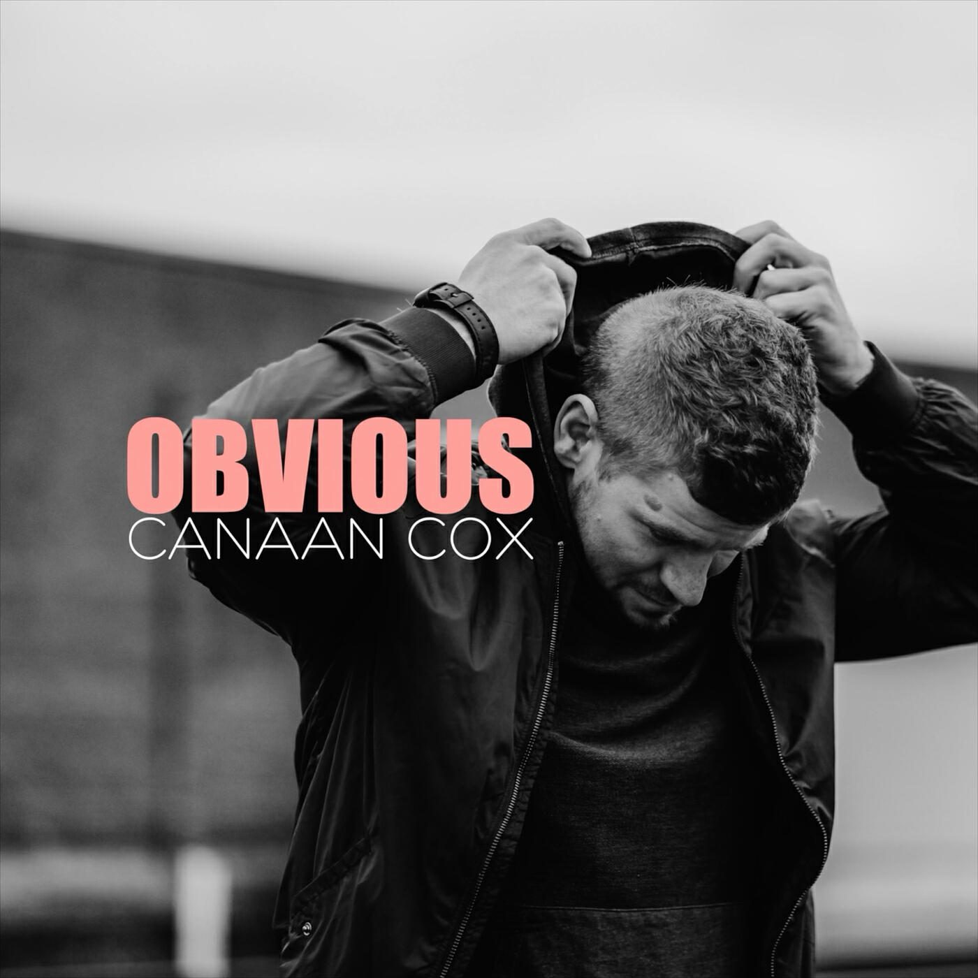 Релиз Obvious