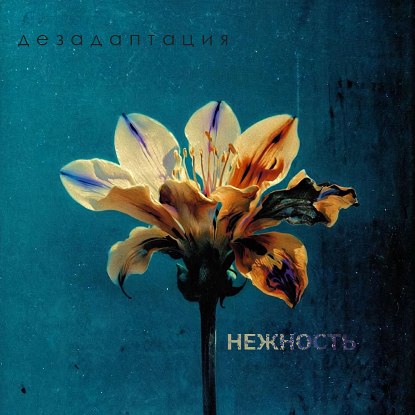 дезадаптация