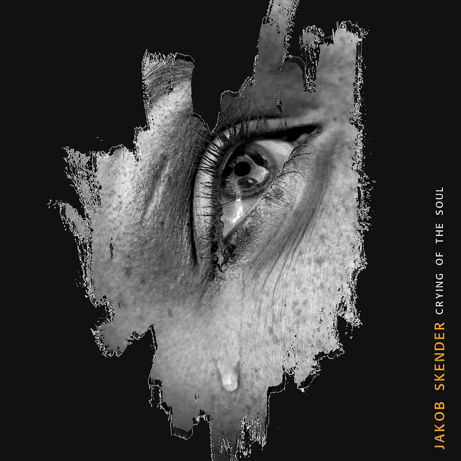 Релиз Crying of the Soul