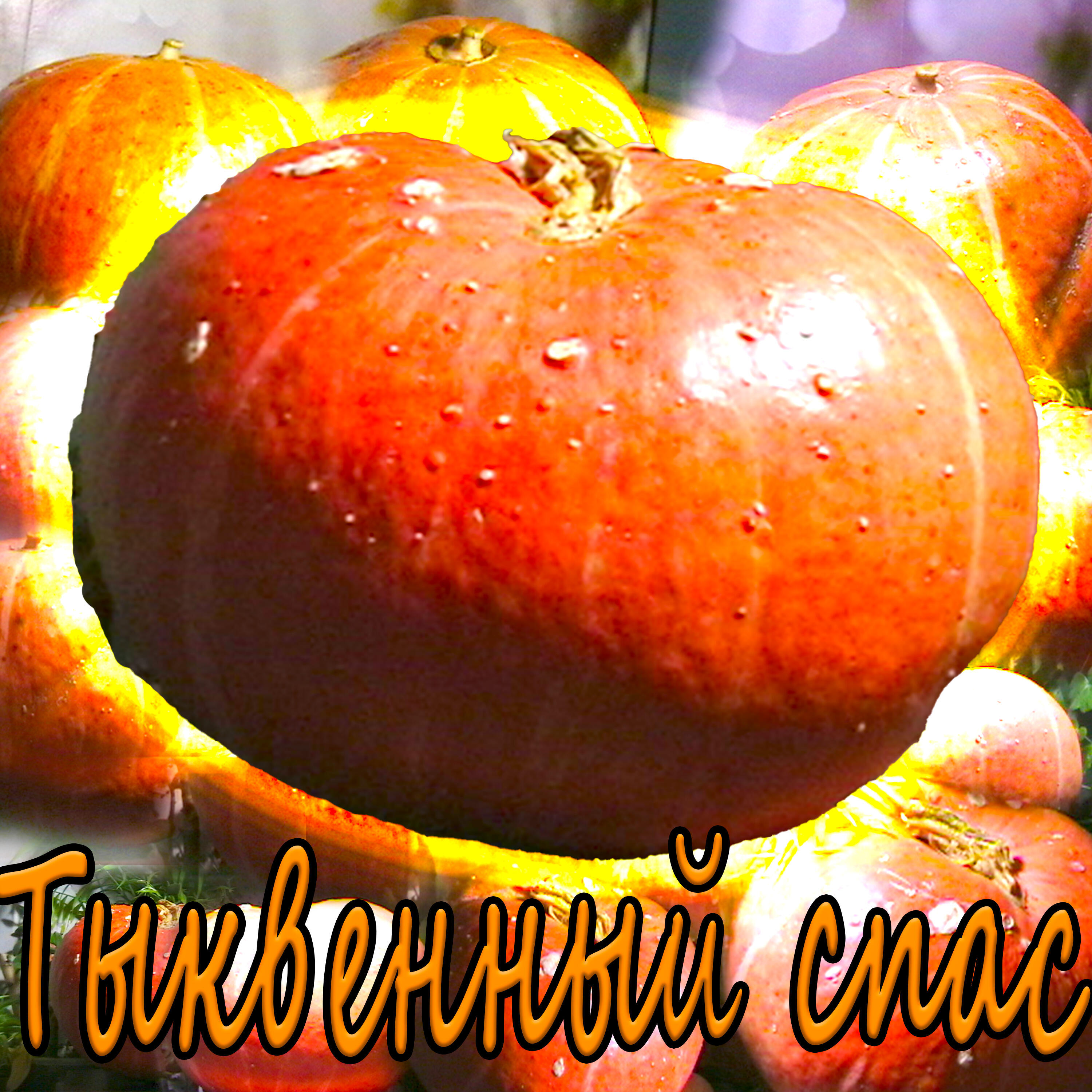 ТОТЕМИЩЕ