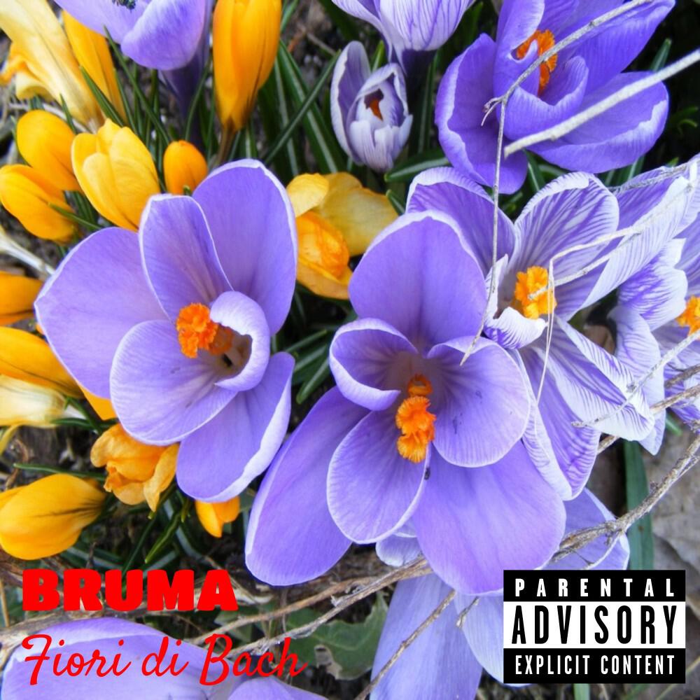 Релиз Fiori di Bach