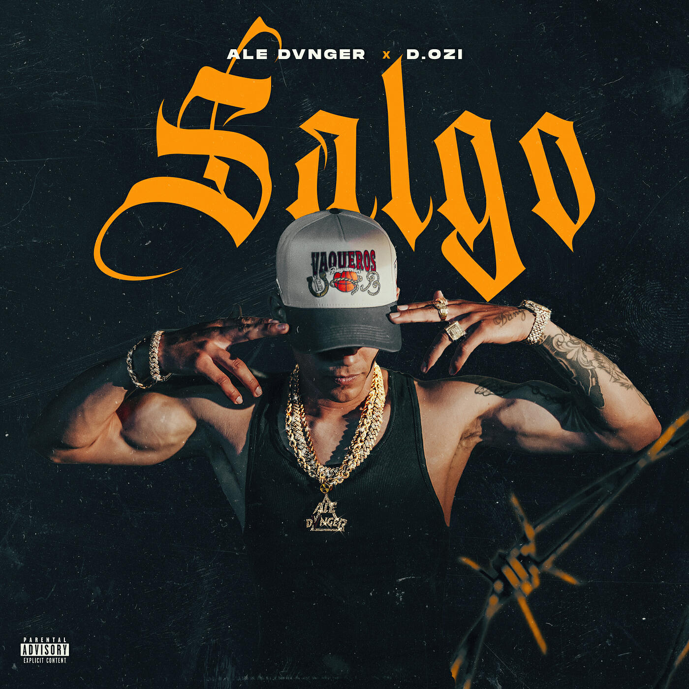 Релиз Salgo