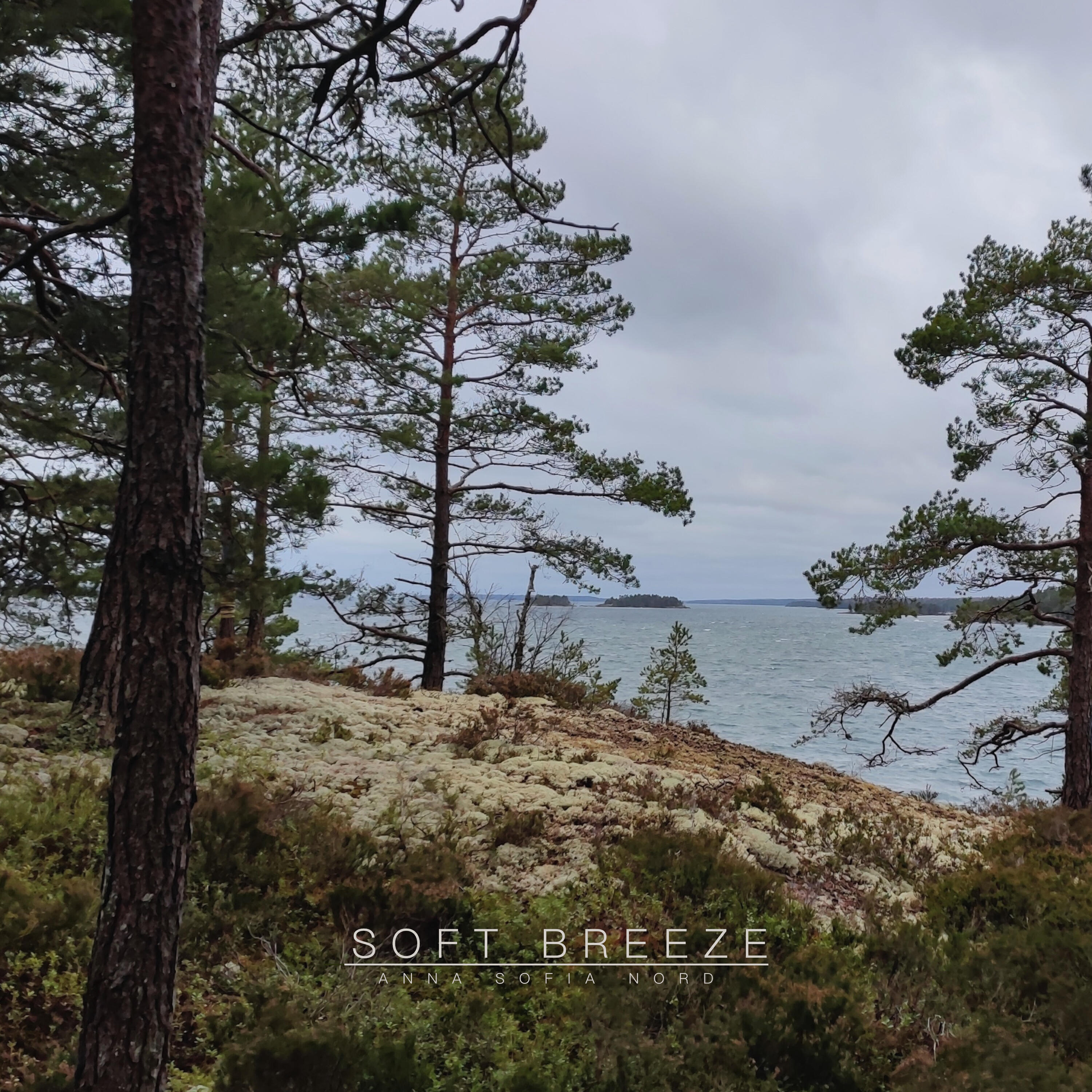 Релиз Soft Breeze