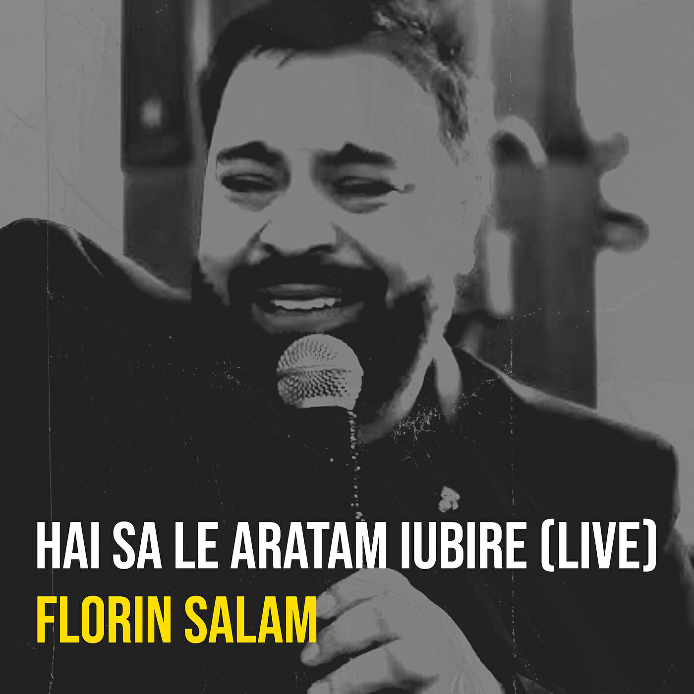 Постер альбома Hai Sa Le Aratam Iubire (Live)