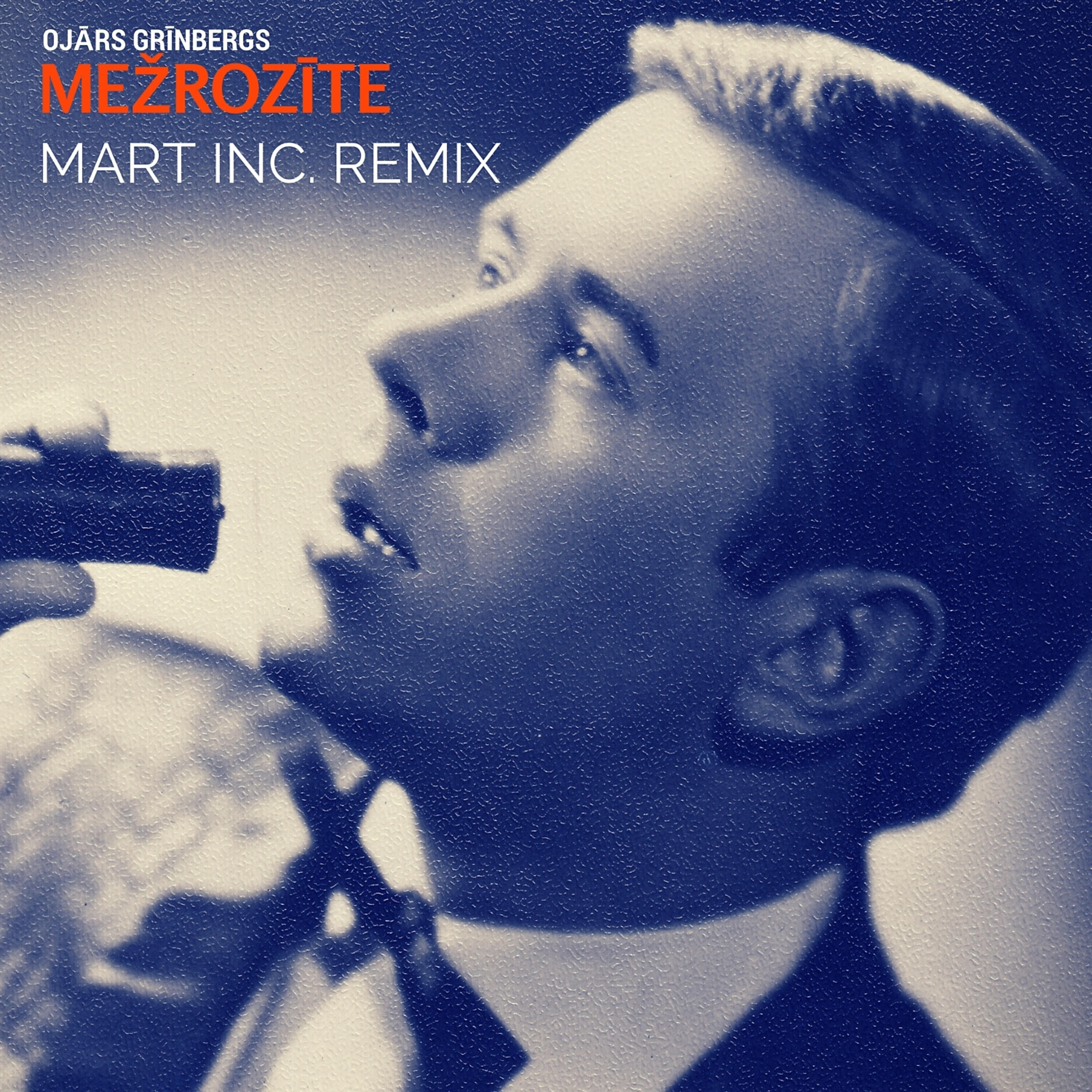 Релиз Mežrozīte Remix