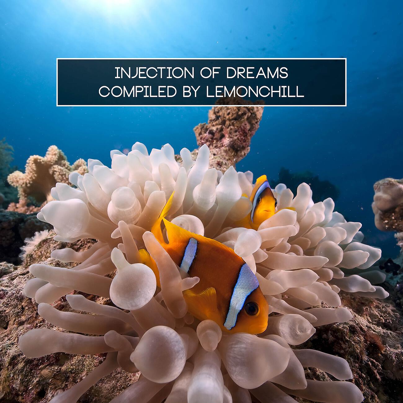 Постер альбома Injection of Dreams Compiled by Lemonchill