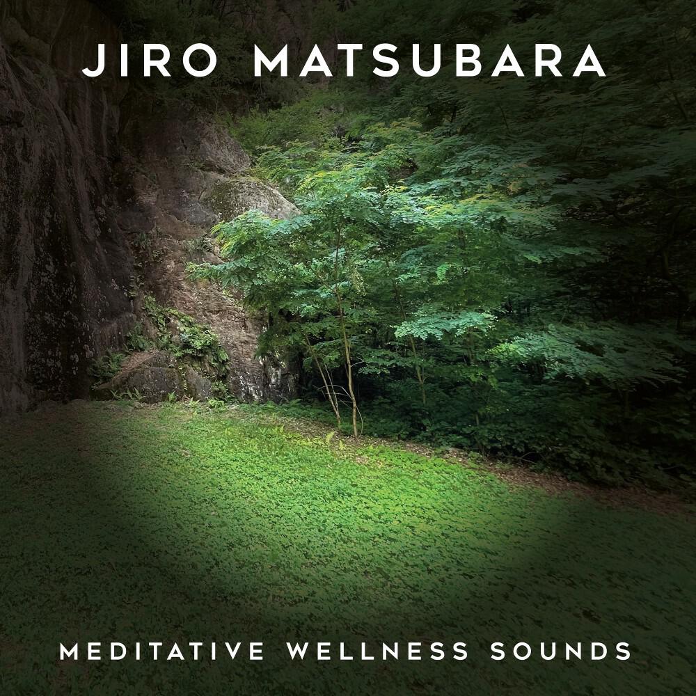 Релиз Meditative Wellness Sounds