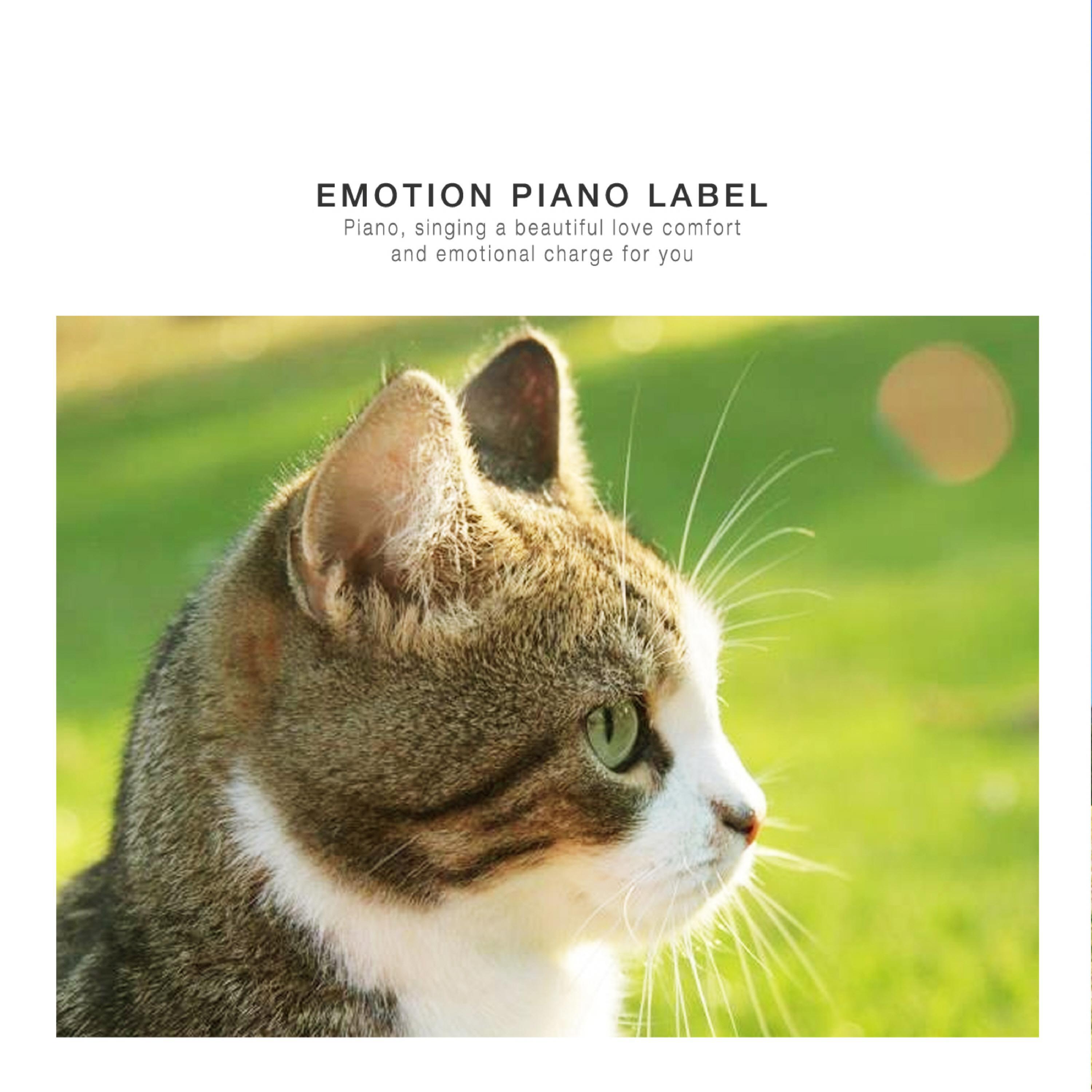 Релиз Healing New Age Piano to ease loneliness